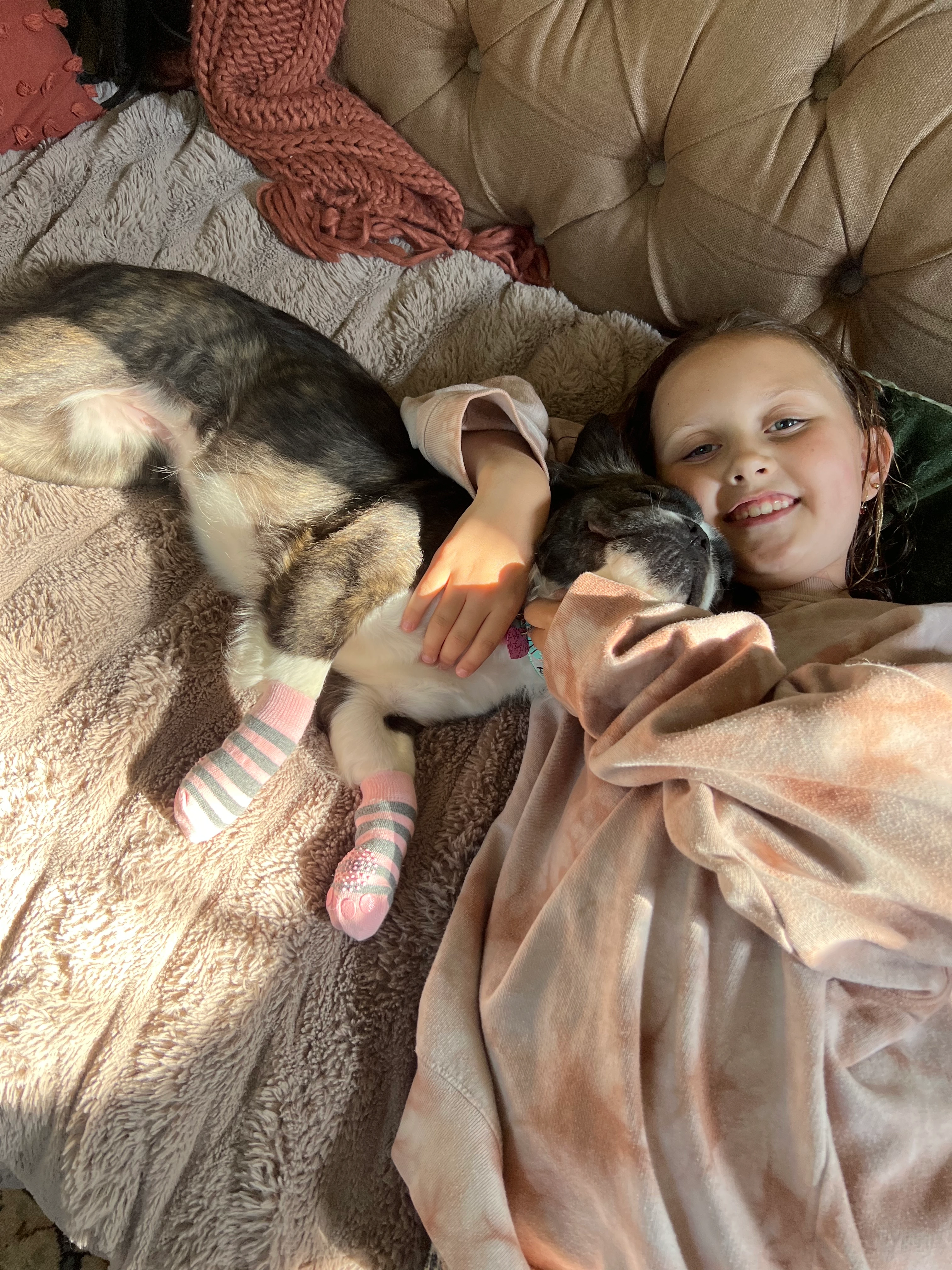 Girl cuddling with her Royal Frenchel on the couch.