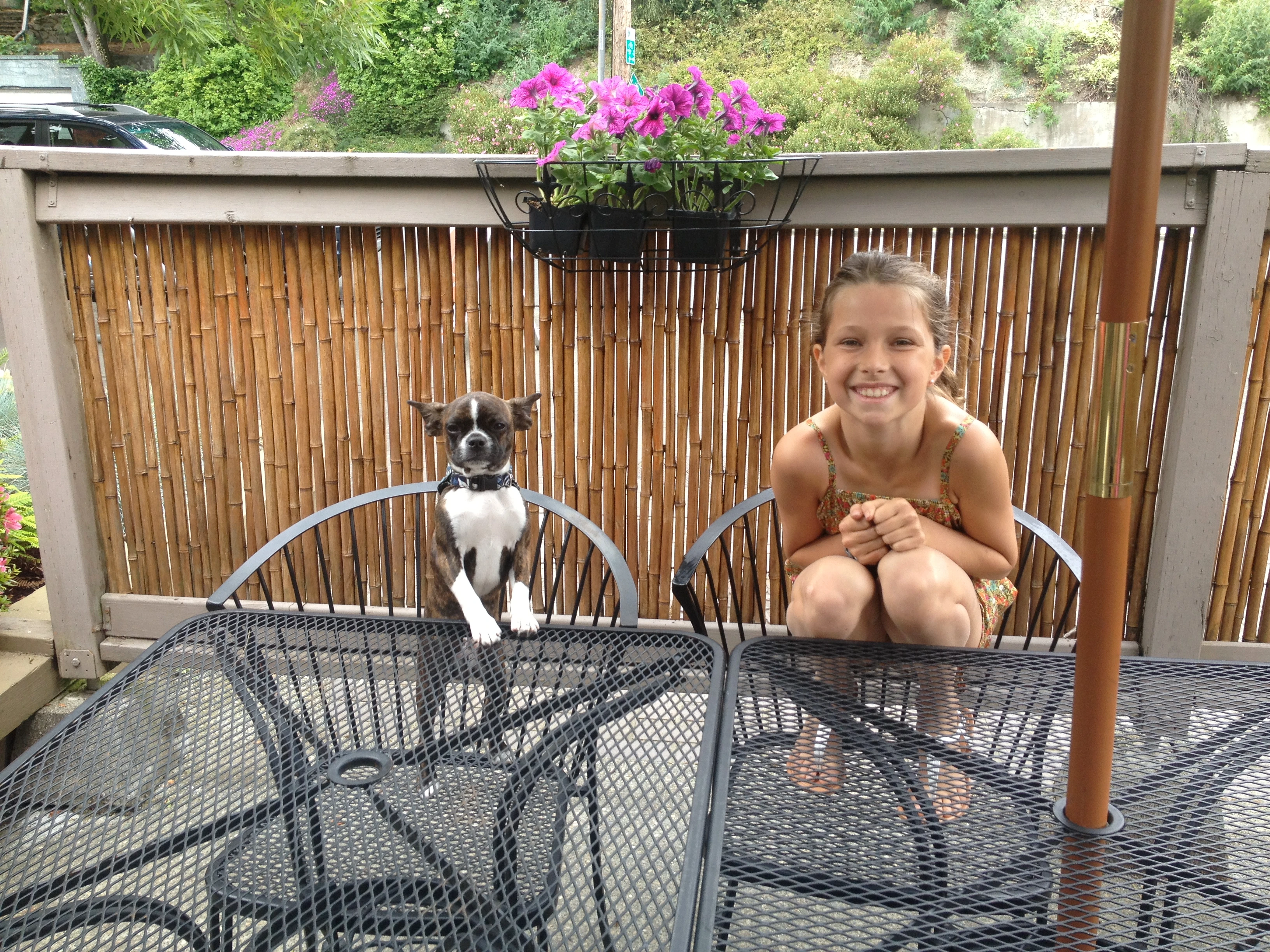 Girl sitting across from her Royal Frenchel at an outdoor table.