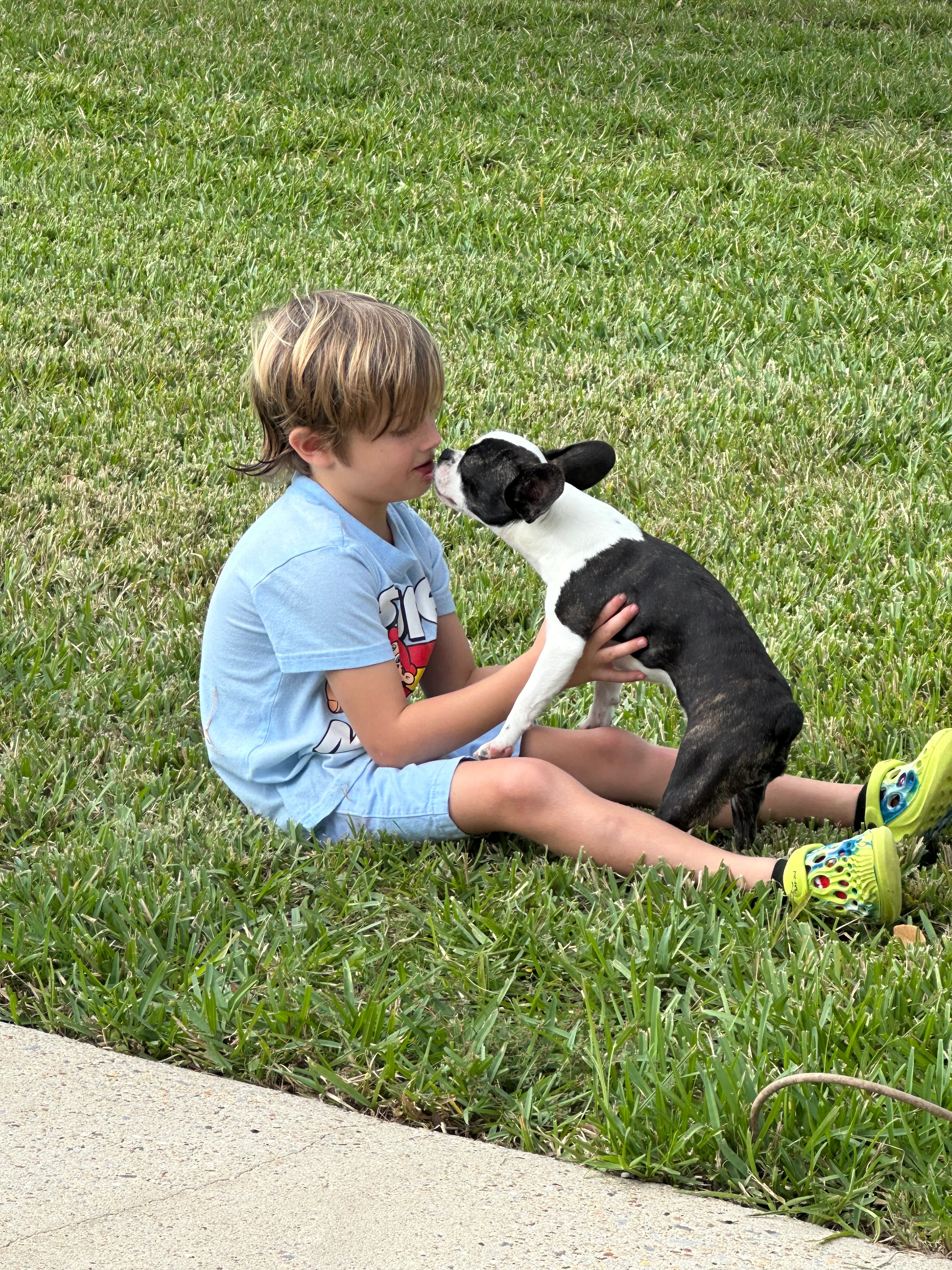  Boy kissing his Royal Frenchel on the nose outside.