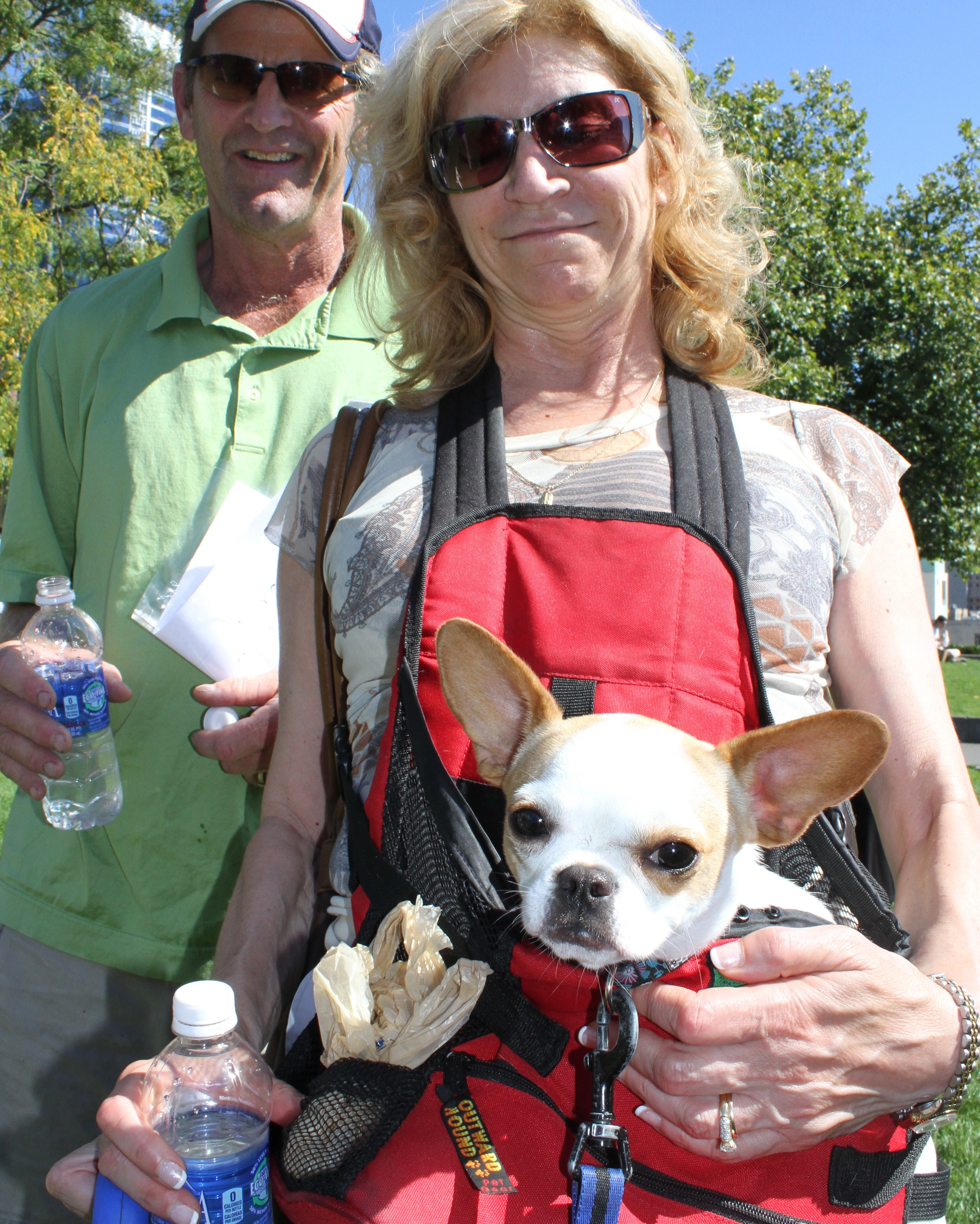 Couple carrying their Royal Frenchel close in a chest carrier during everyday life.