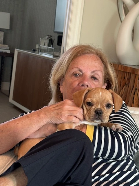 Woman holding and snuggling her Royal Frenchel puppy.