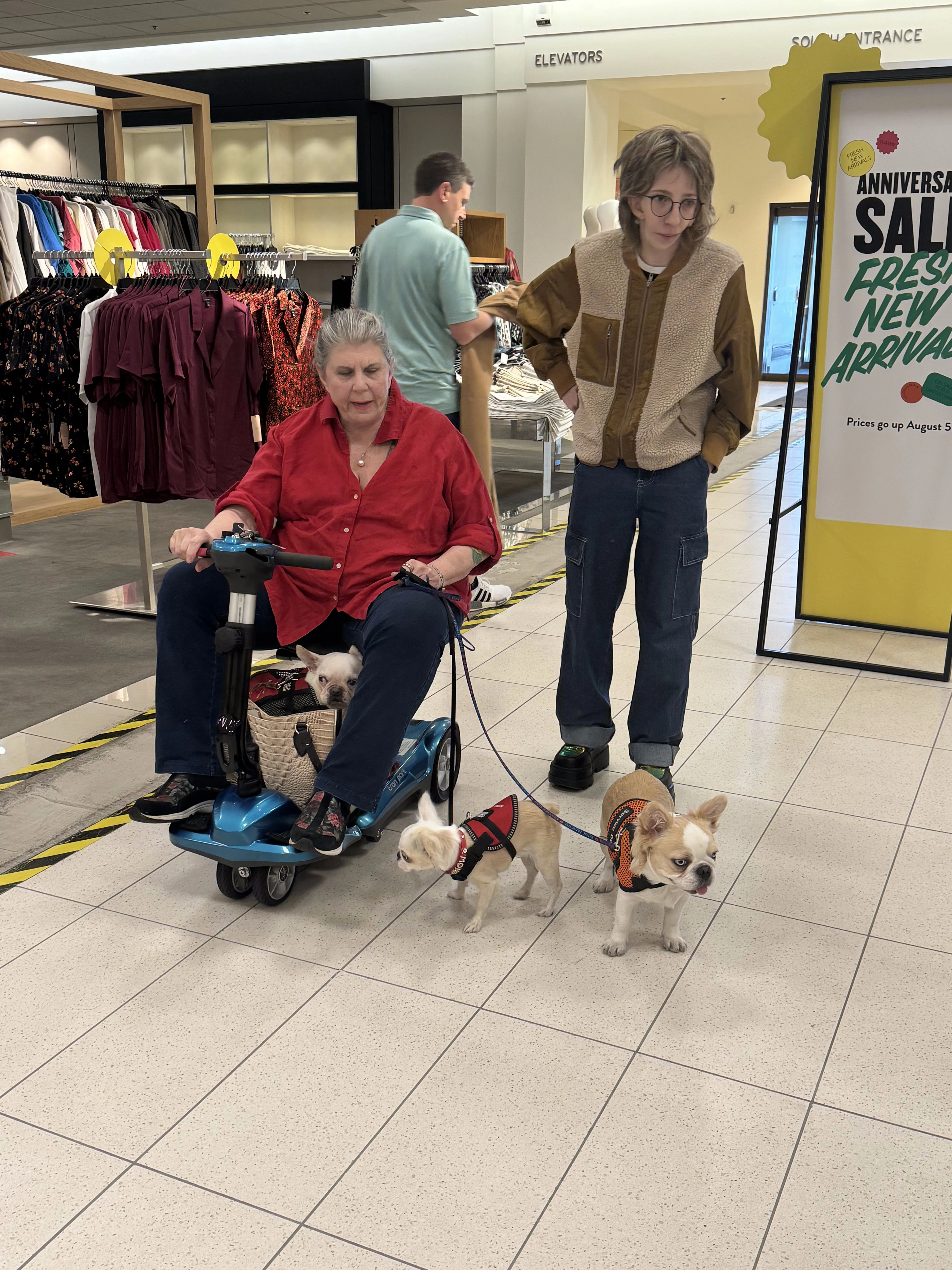 Anahata Graceland with two Royal Frenchel service dogs on a mobility scooter.