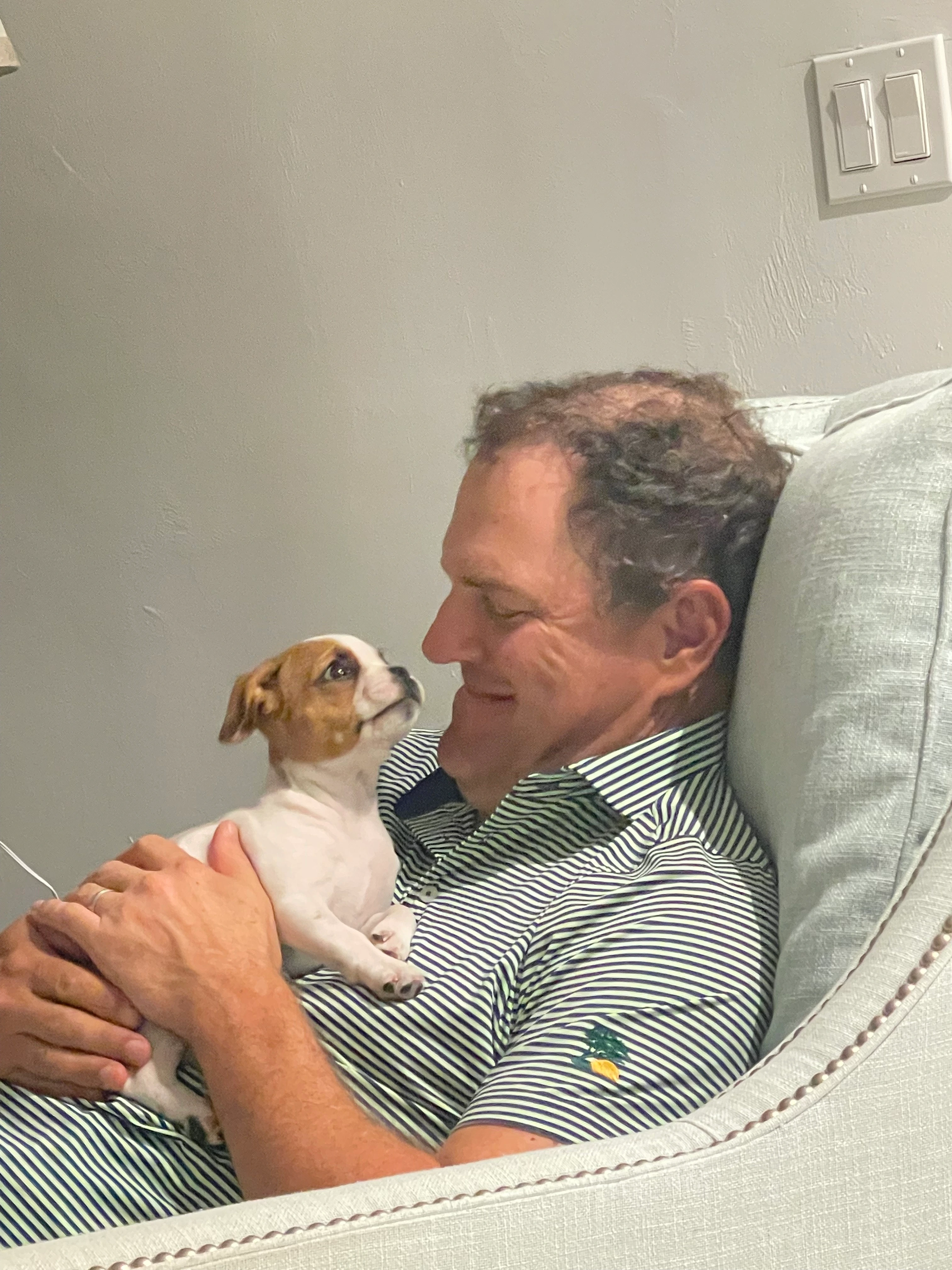 Man sitting in an armchair and bonding with a tiny Royal Frenchel puppy.