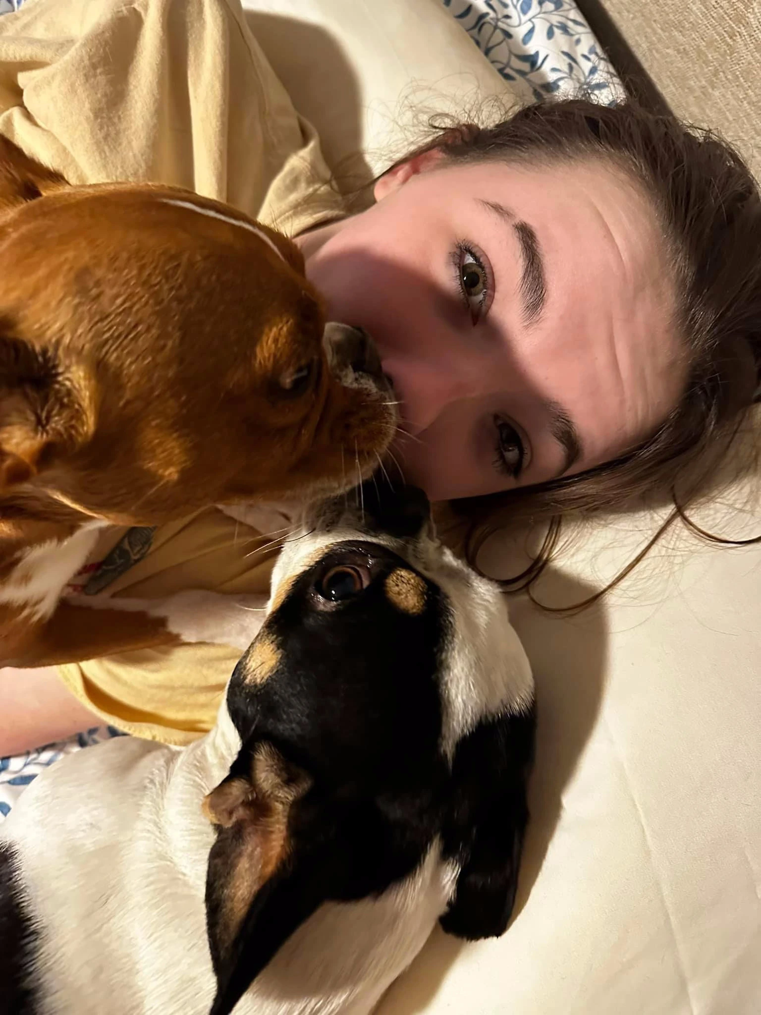Woman lying in bed and kissing her two Royal Frenchels.