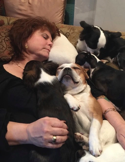Woman snuggling on the couch with four sleeping Royal Frenchels.