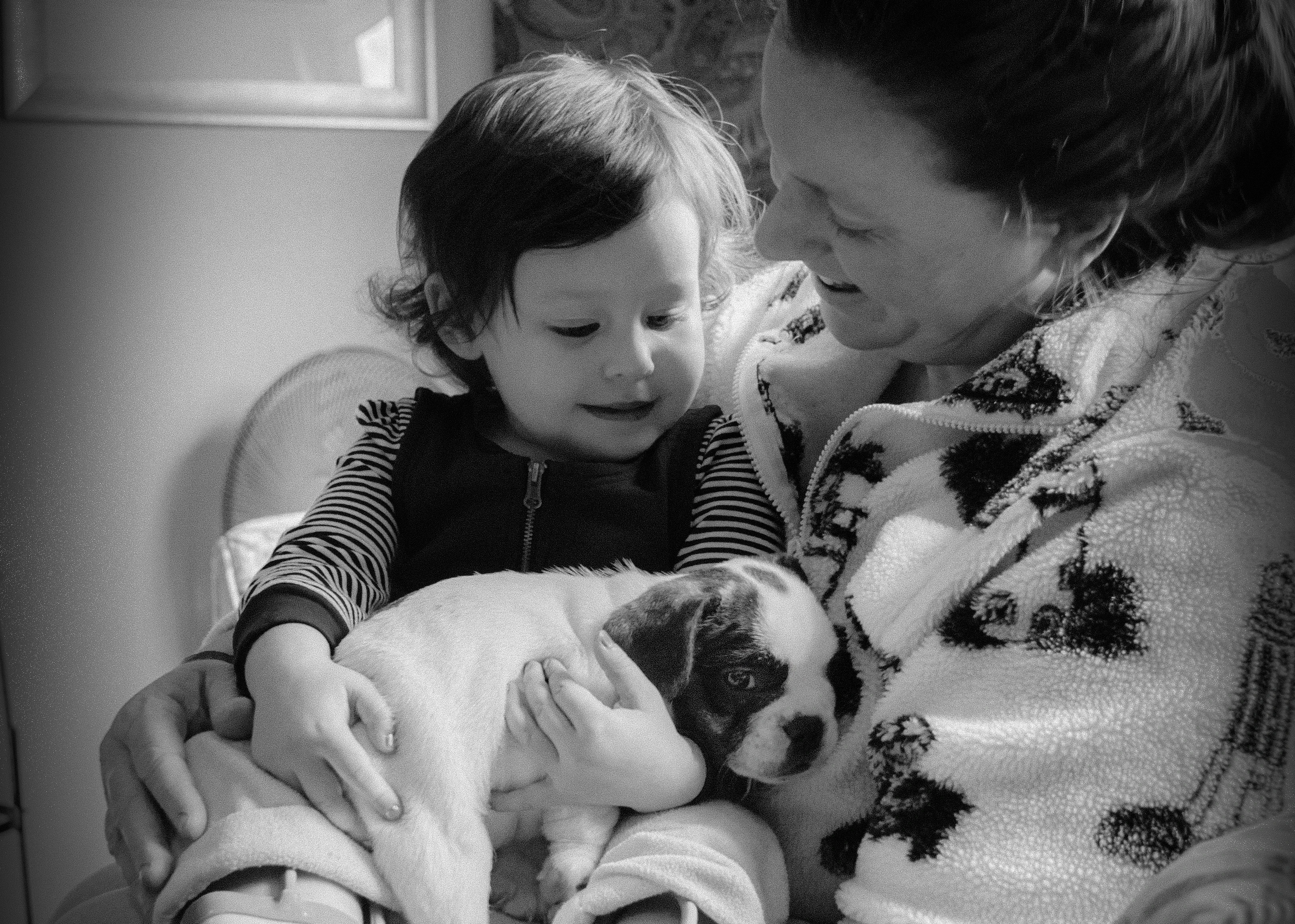  Toddler sitting on her mother’s lap and holding a Royal Frenchel puppy.