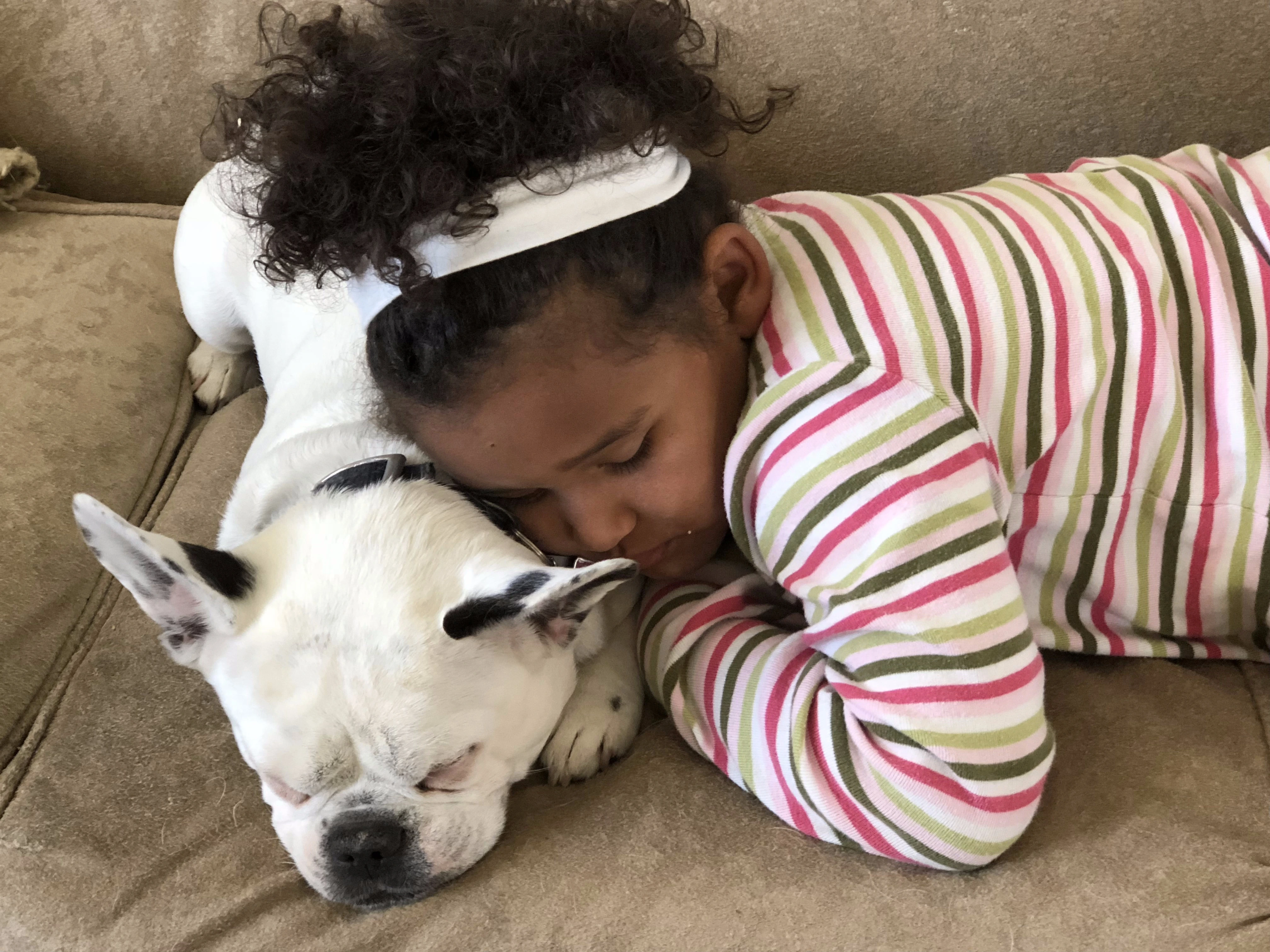 Girl sleeping on a couch with her head resting on a Royal Frenchel puppy.
