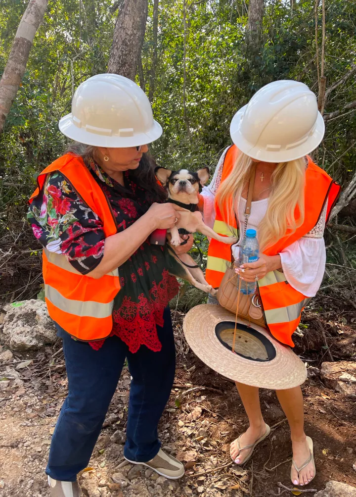 Construction workers in hard hats holding and petting a Royal Frenchel.