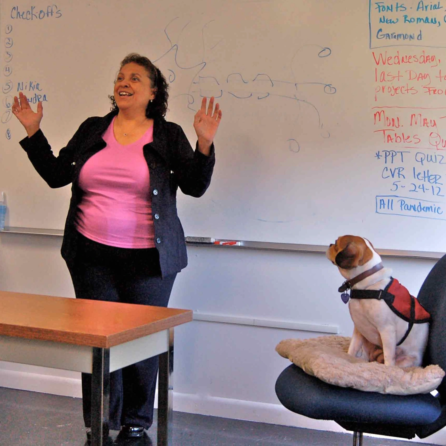 Royal Frenchel sitting on a chair beside a teacher in a classroom.