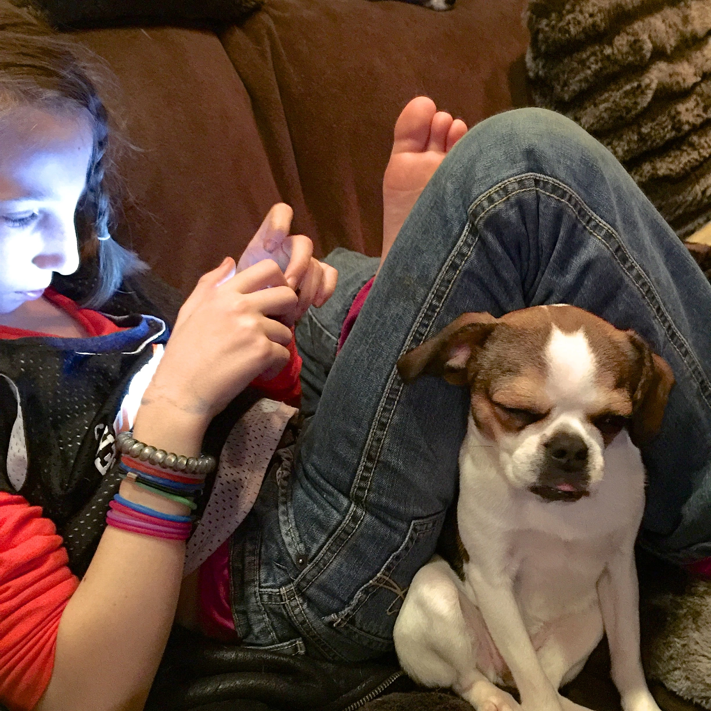 Girl using an iPad with her Royal Frenchel snuggled beside her.