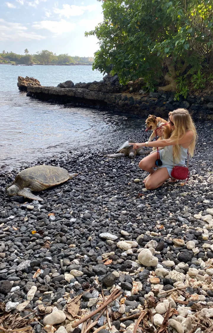 Woman holding her Royal Frenchel near a river while looking at a giant tortoise.