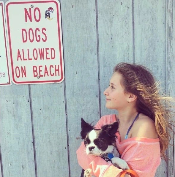 Girl holding her Royal Frenchel puppy near a no dogs allowed on beach sign.