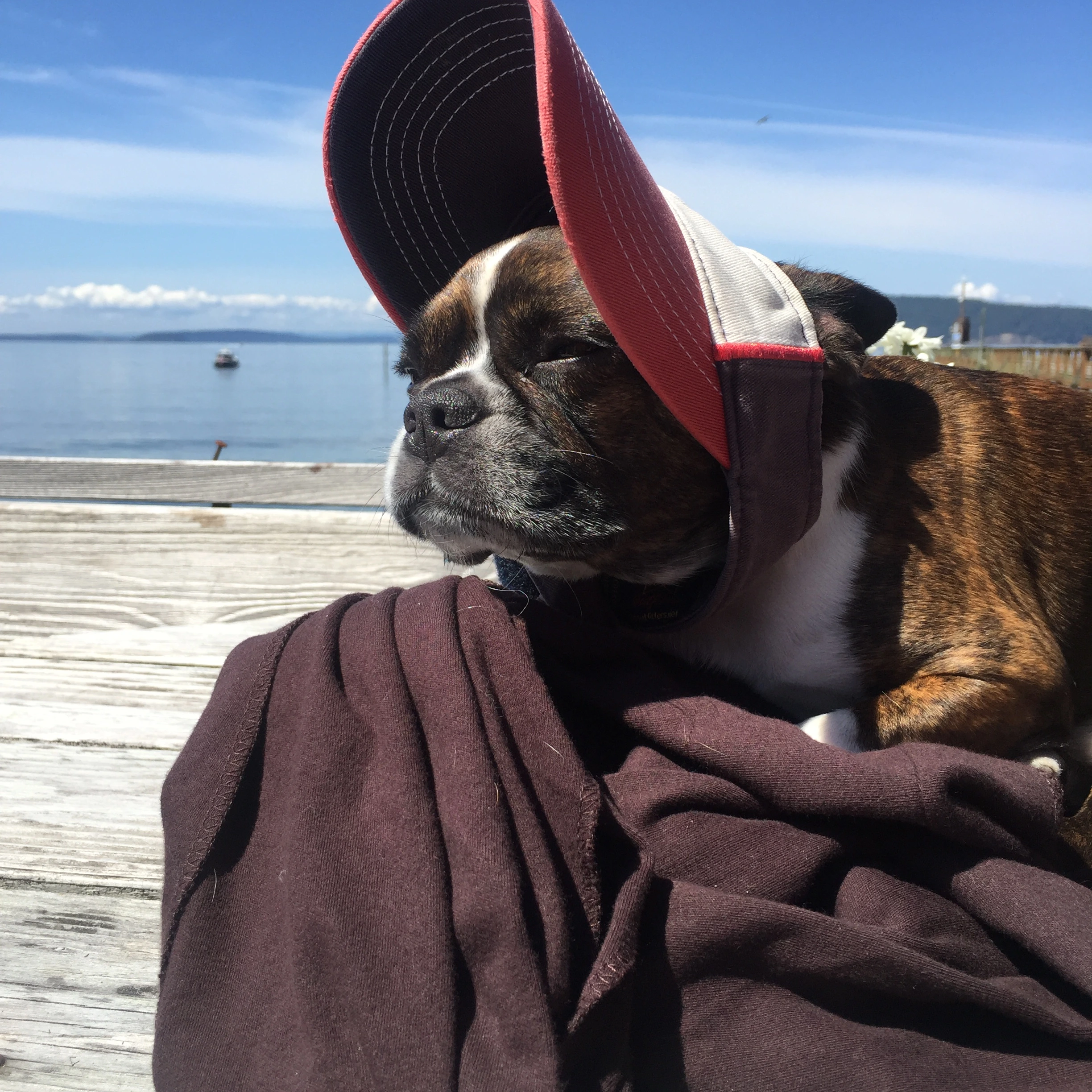 Royal Frenchel wearing a sun hat while sitting near the water.