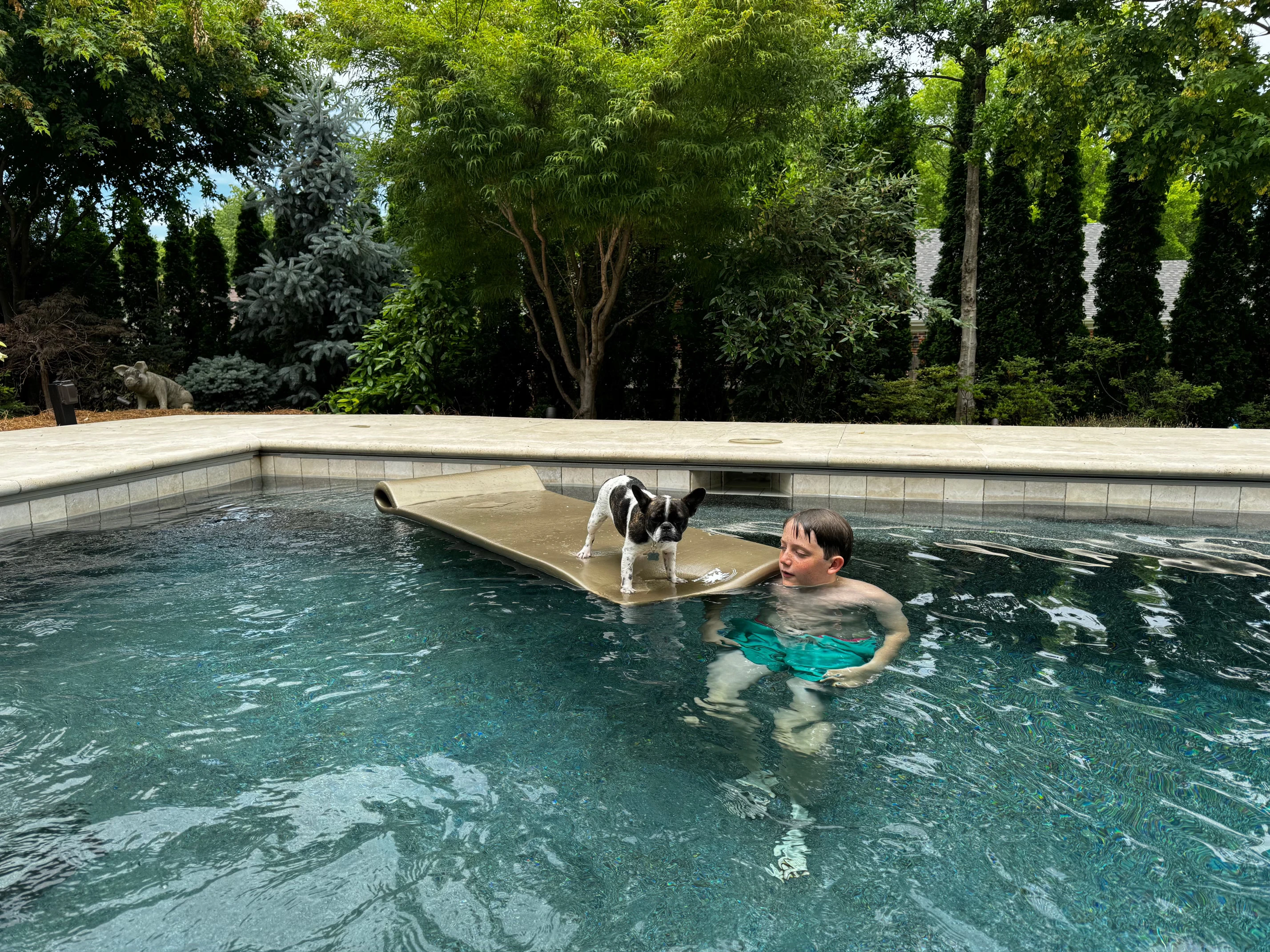 Royal Frenchel sitting on a pool float with a little boy.