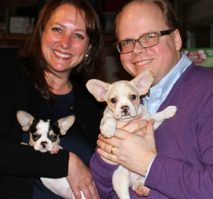Royal Frenchel family story showing couple holding puppies.