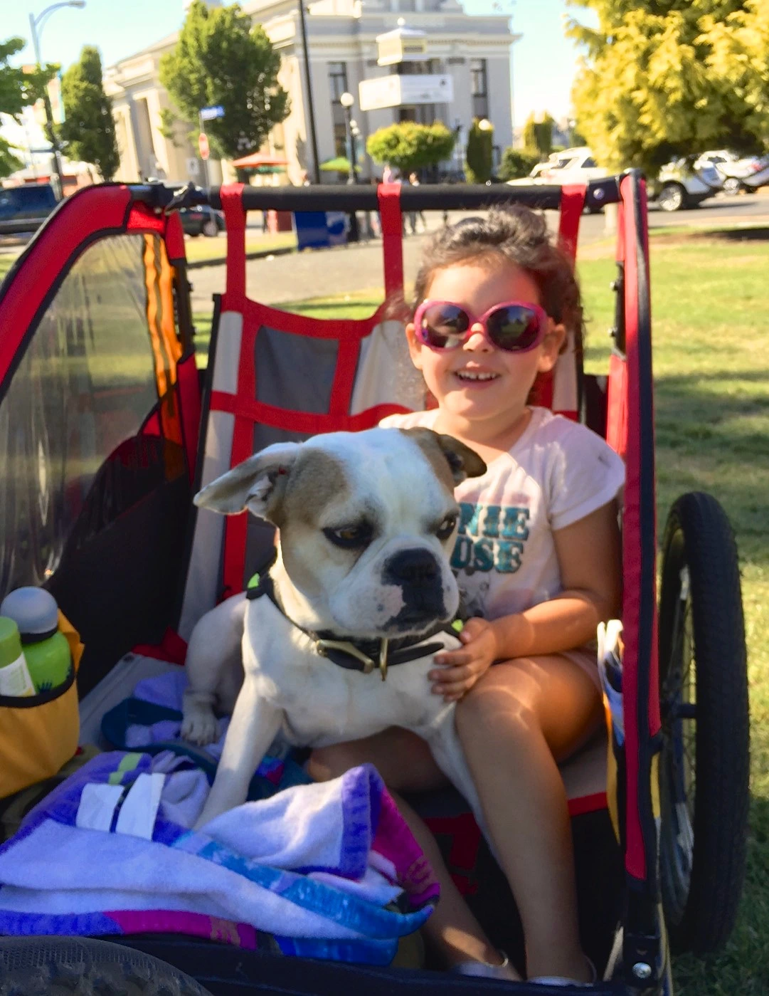 Girl sitting in a bike carriage with her Royal Frenchel on her lap.
