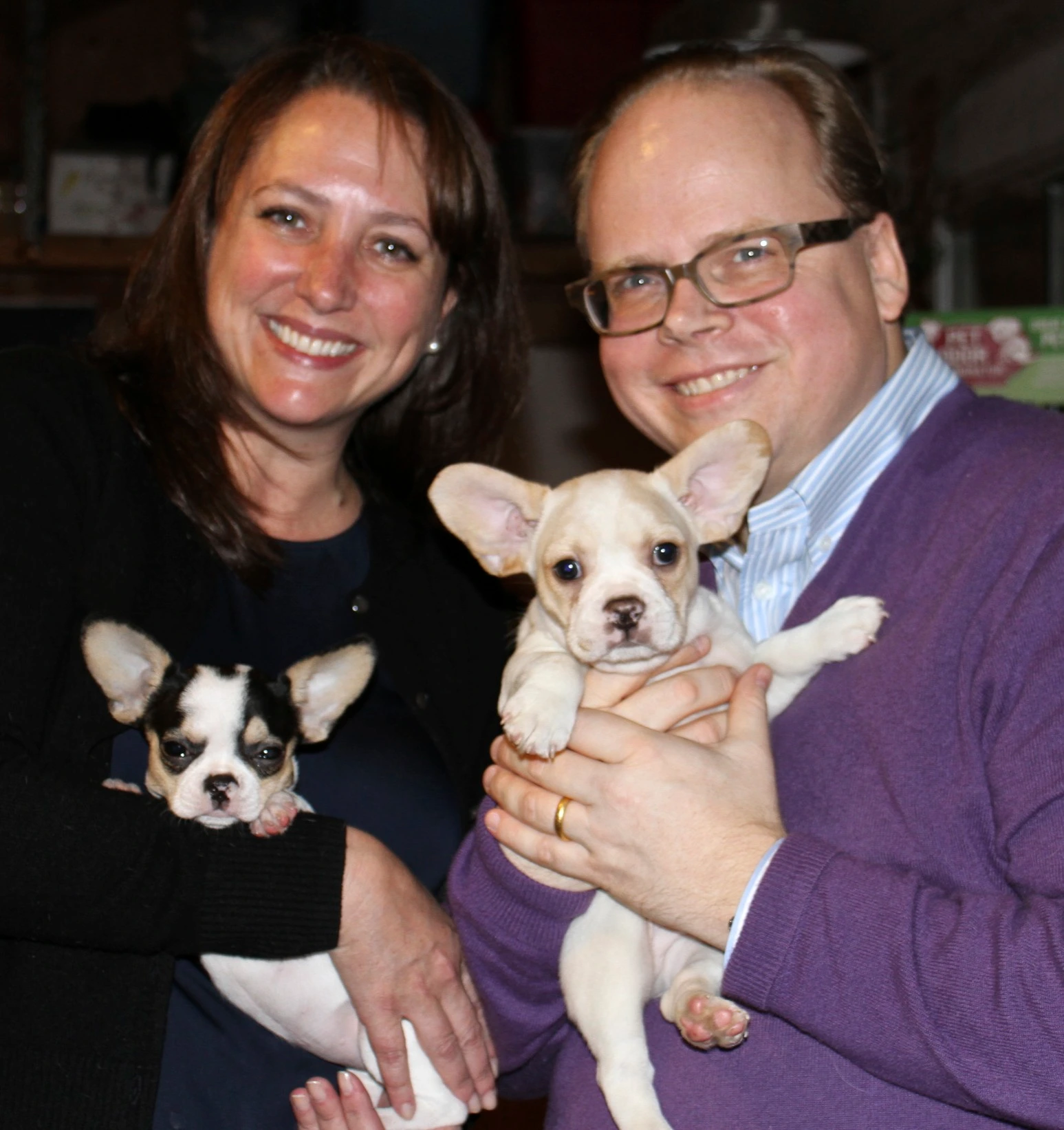 Couple each holding a Royal Frenchel puppy.