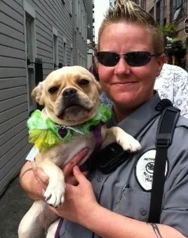 Royal Frenchel service dog being held by their owner outdoors.