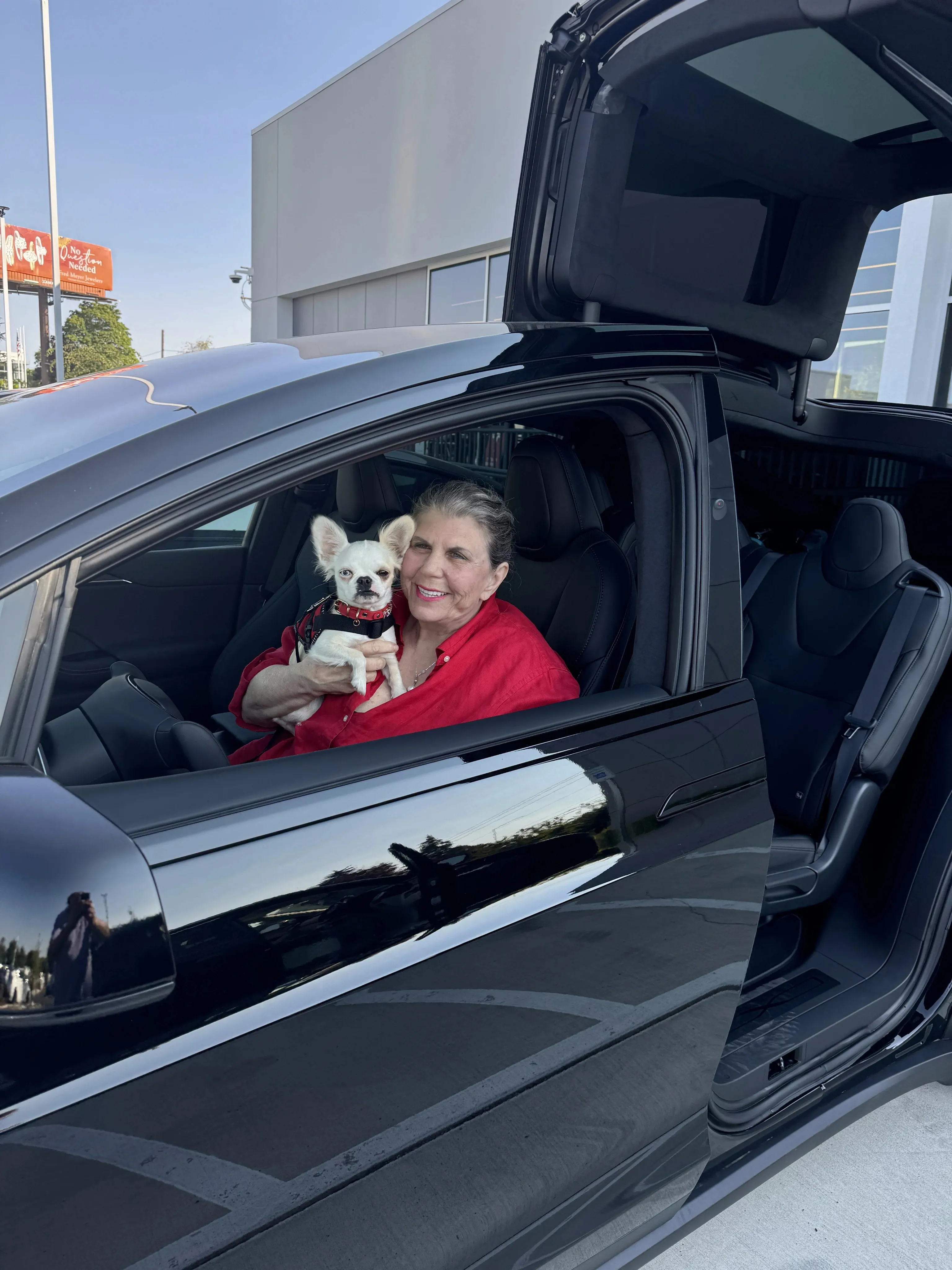 Royal Frenchel sitting calmly in a car with the door open.