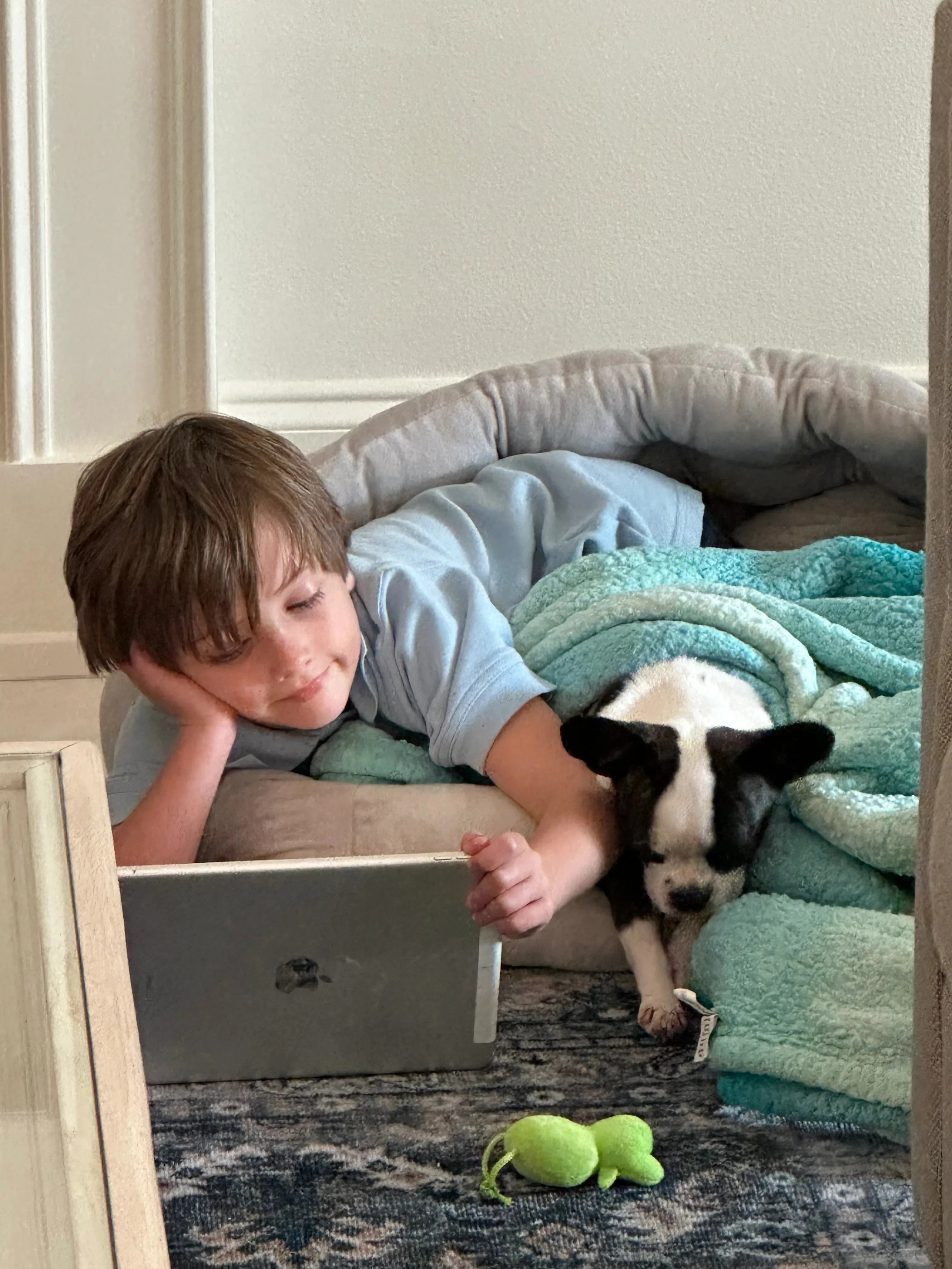 Boy using a laptop on a couch with his Royal Frenchel nearby.