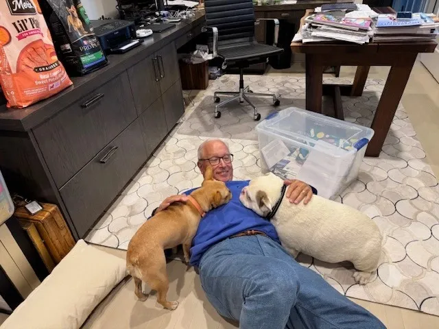 Man lying on an office floor with Royal Frenchels gathered around him.