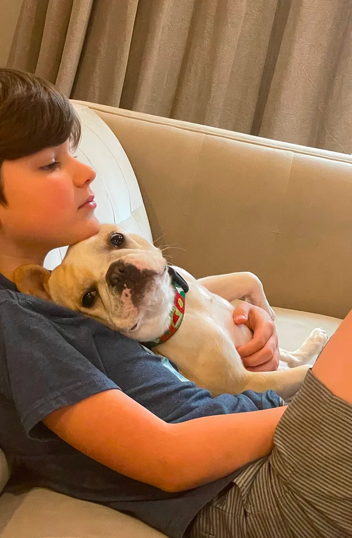 Royal Frenchel snuggling with a boy on a couch at home.