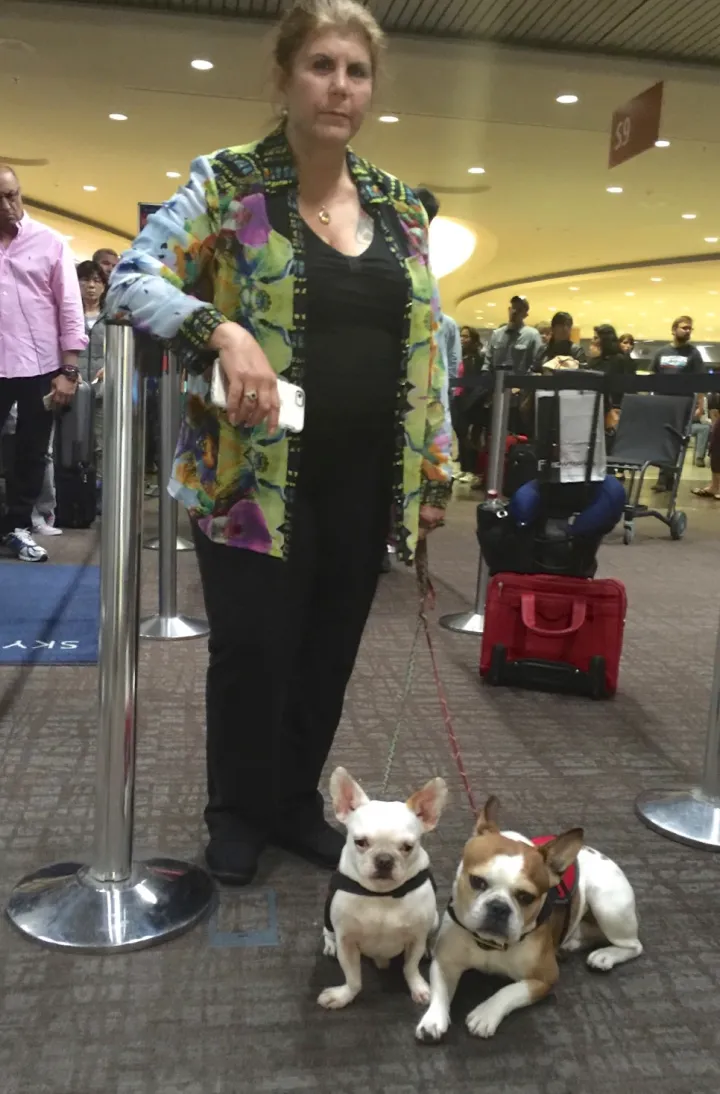 Anahata Graceland traveling through an airport with two Royal Frenchels.
