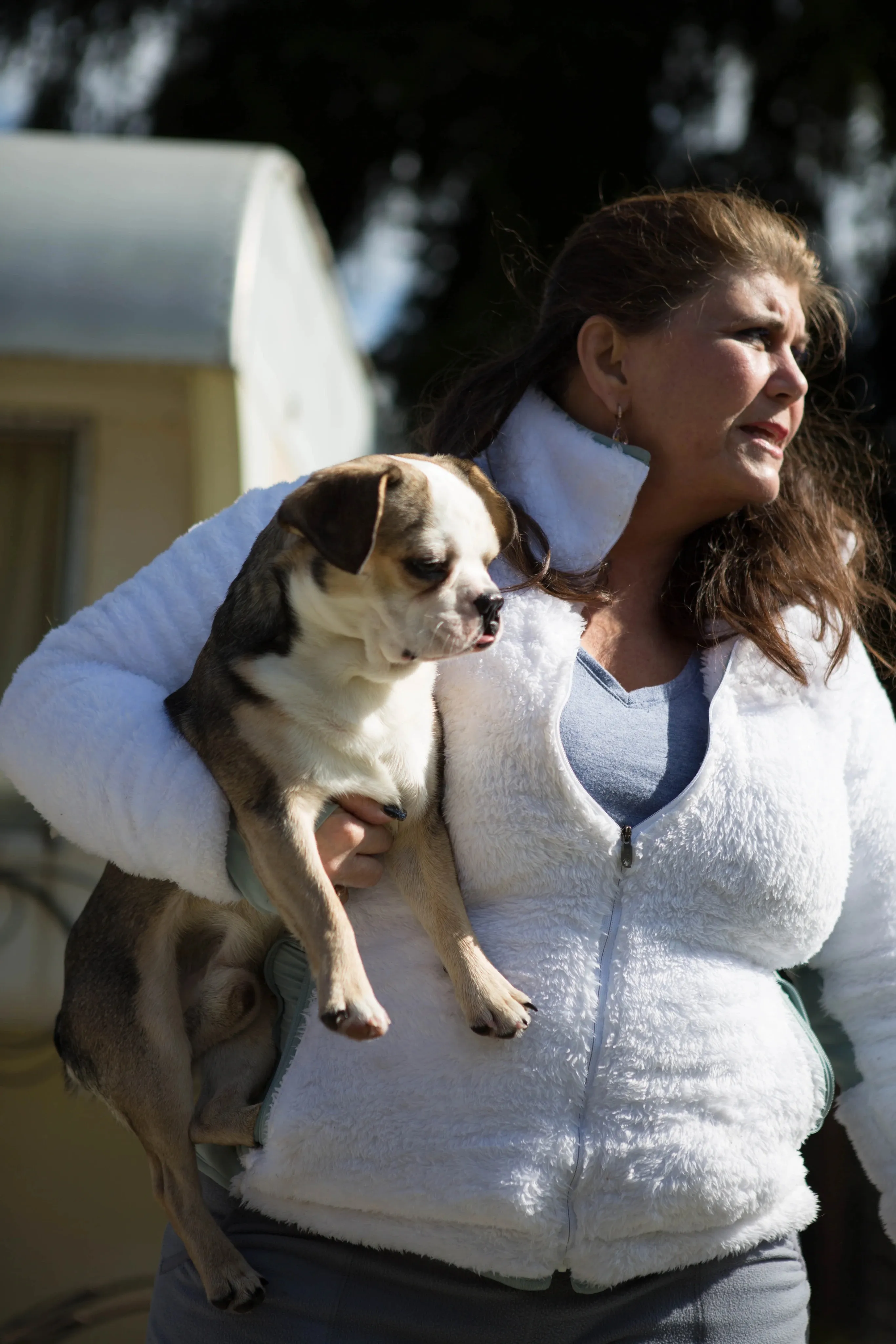 Royal Frenchel pickup and courier page image showing woman holding puppy outside.