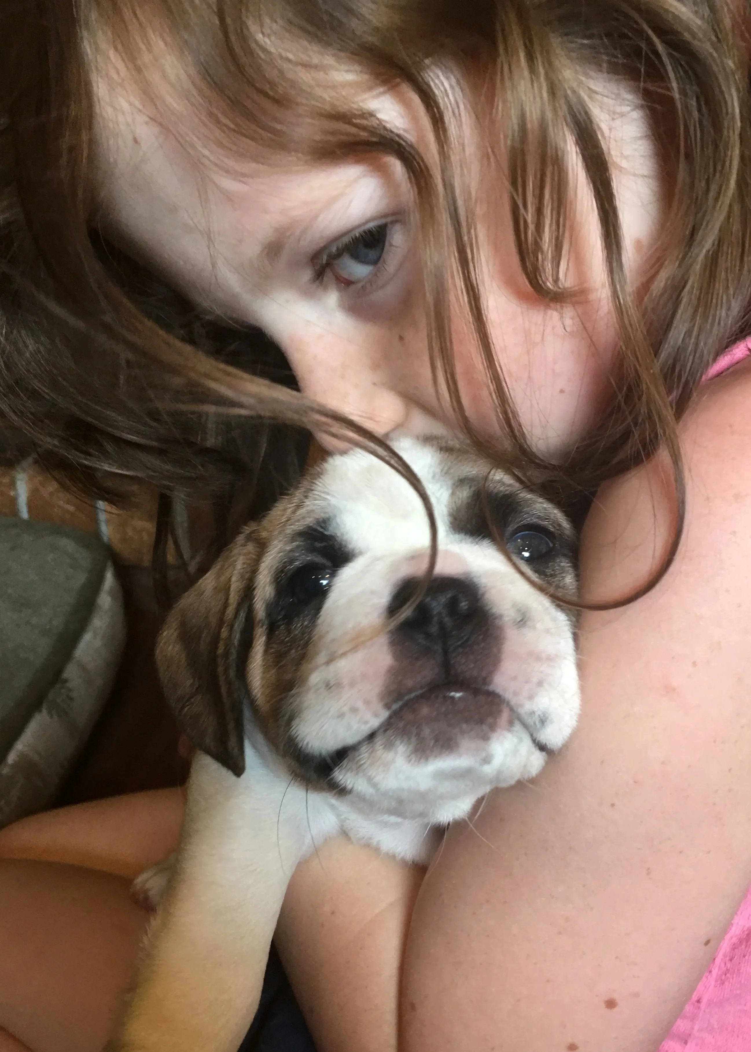Bringing your Royal Frenchel puppy home image showing child snuggling Royal Frenchel