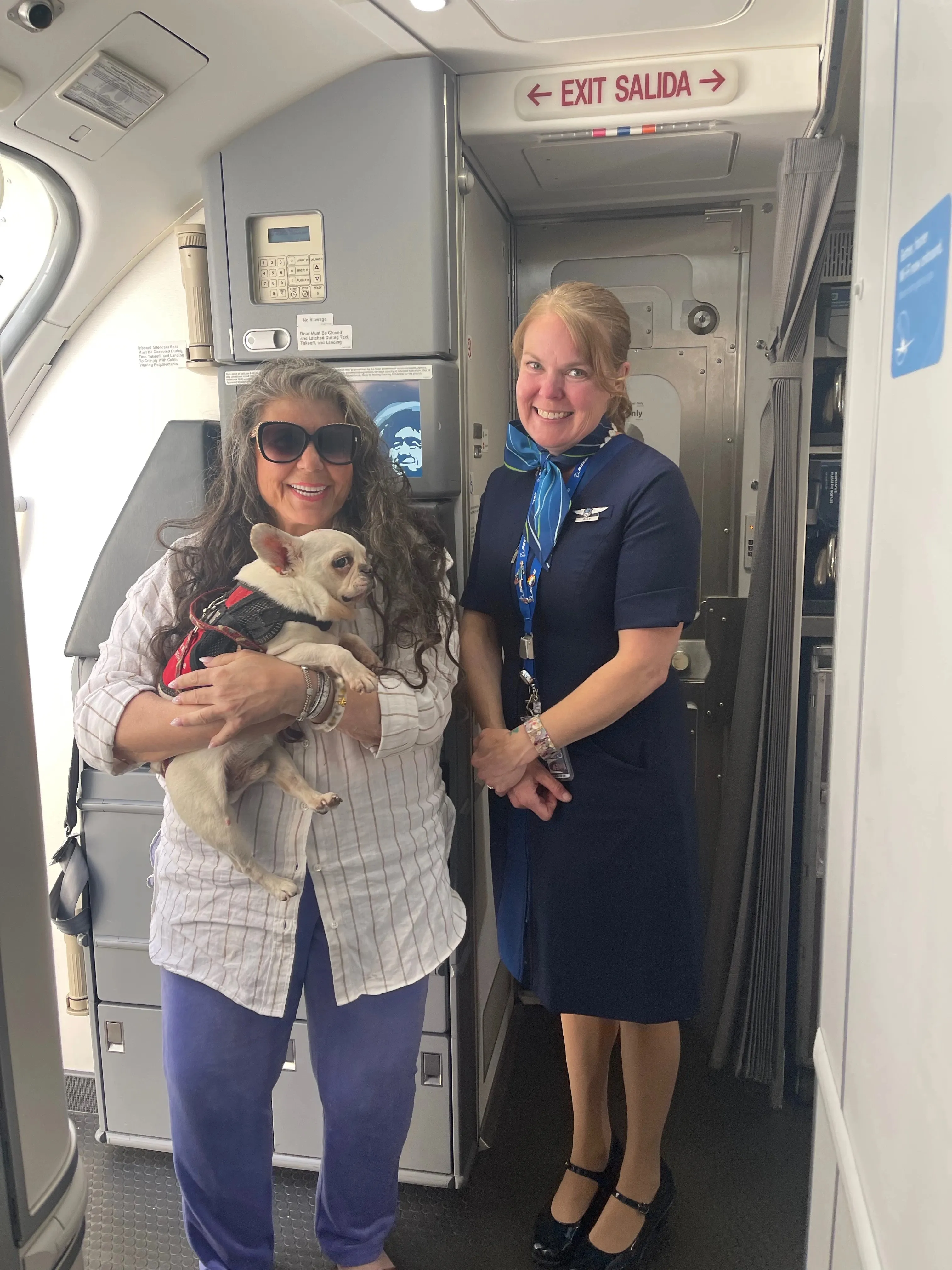 Bringing your Royal Frenchel puppy home image showing airplane arrival.