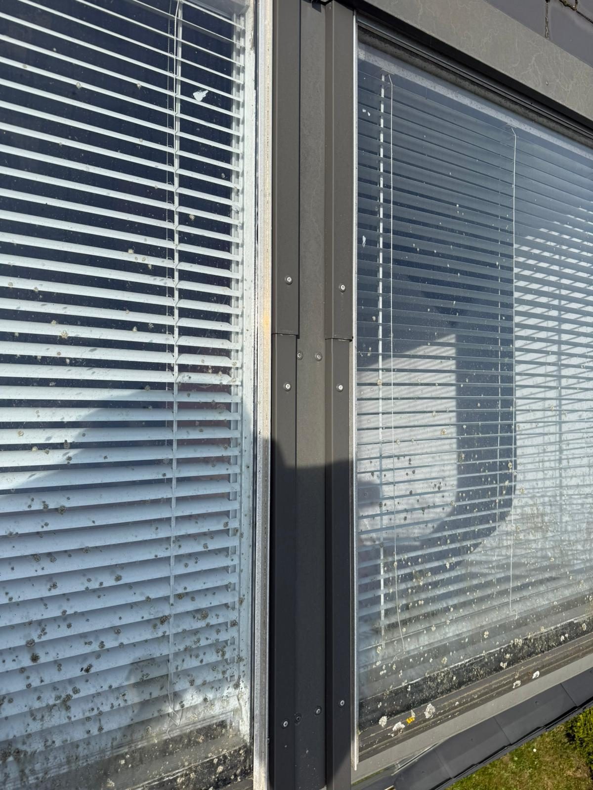 Avant : vitrages piqués et lichen installé sur les cadres des anciens Velux — La Mézière