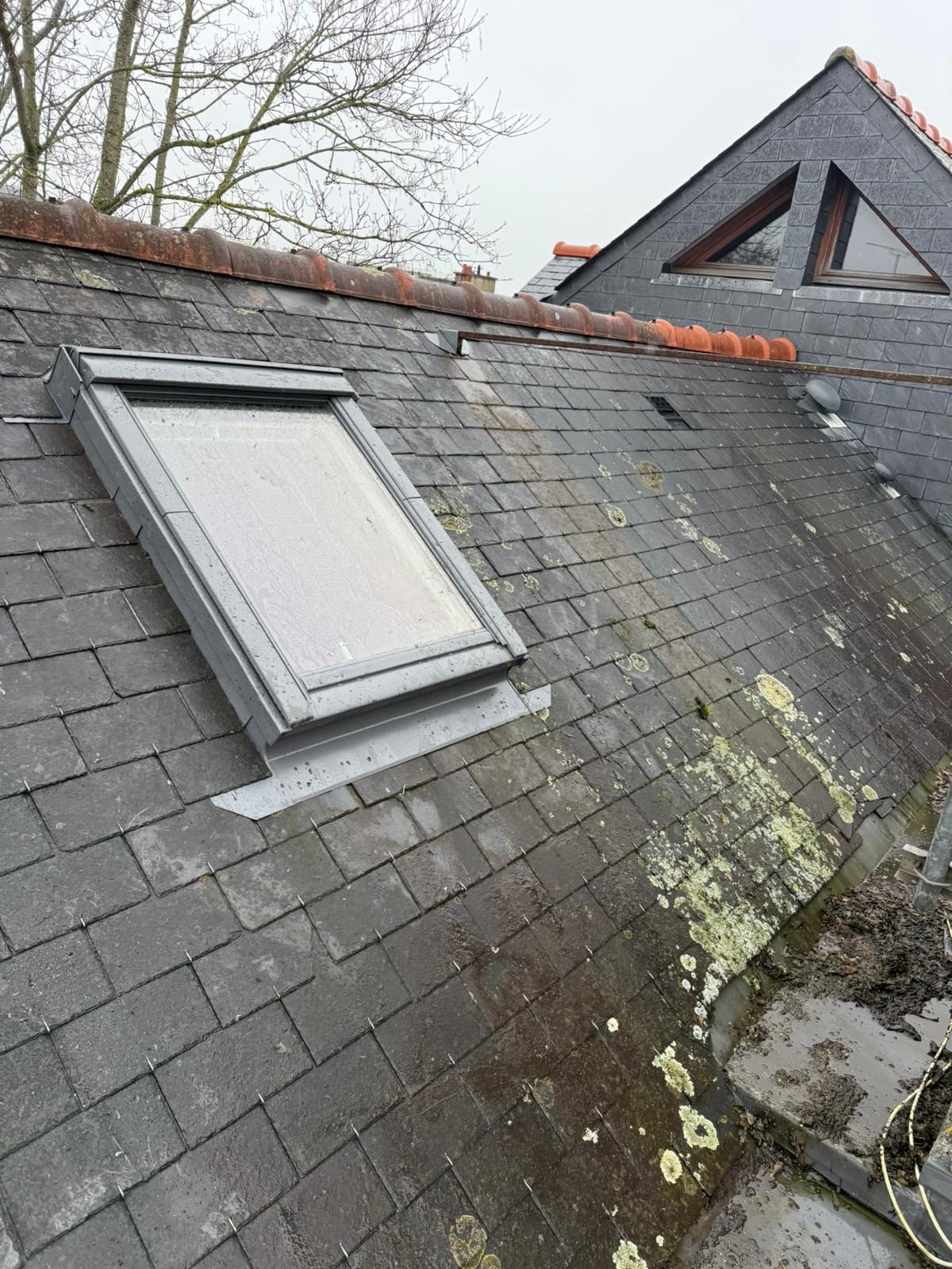 Après : bavette basse et noquets latéraux du raccord, liteaunage repris autour du Velux — Rennes