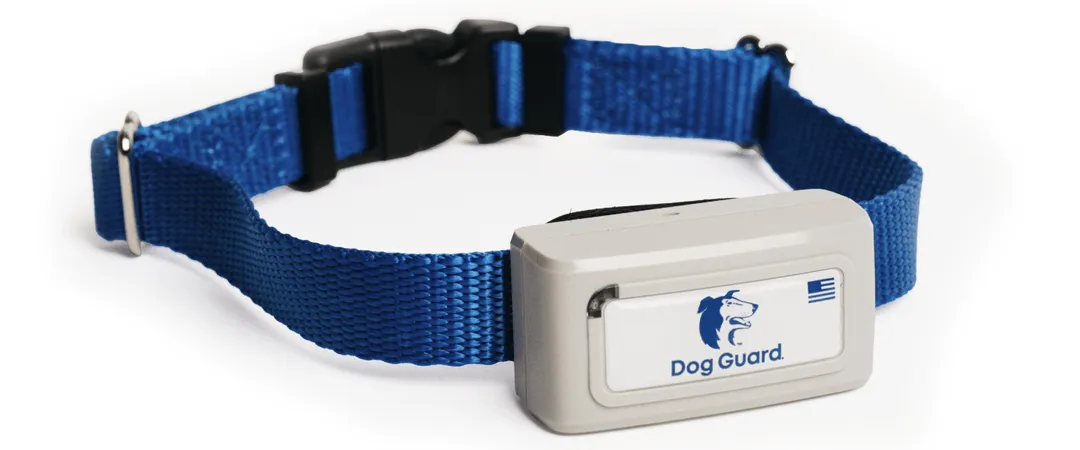 Dog Guard FreedomPro collar