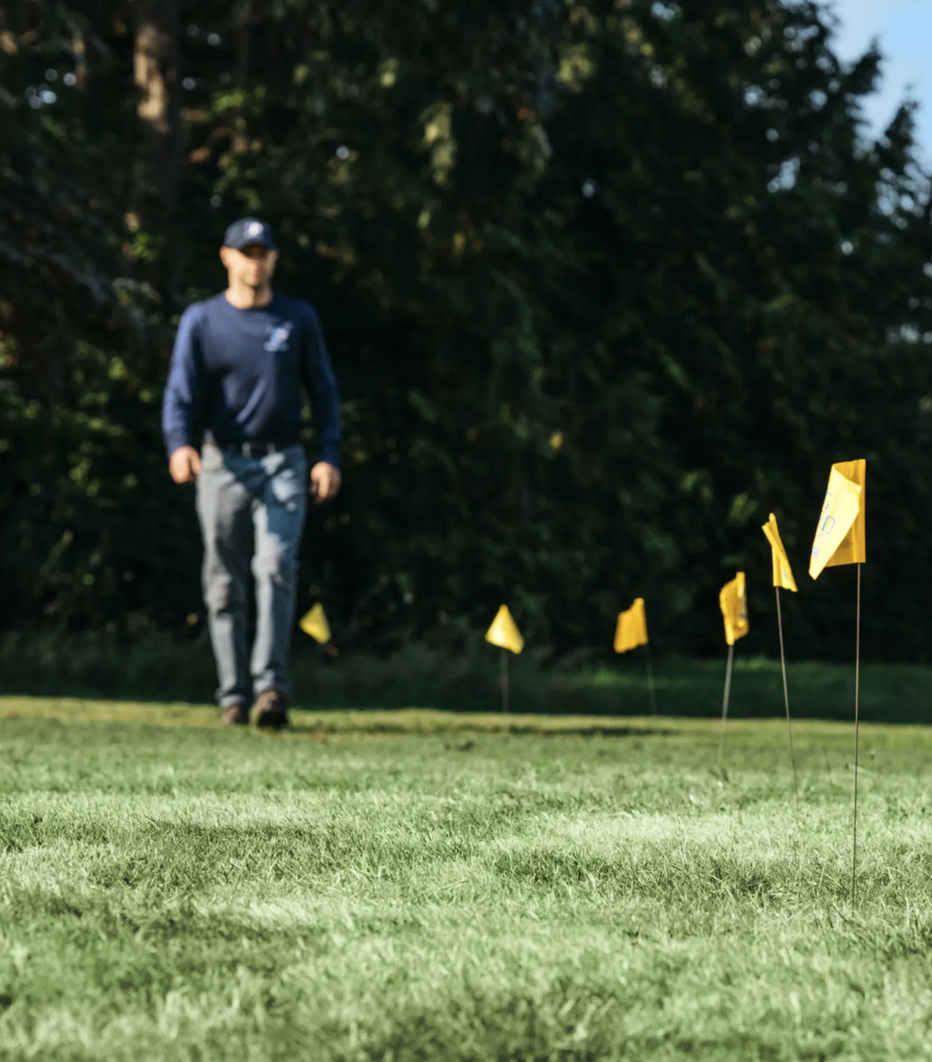 Dog Guard Pro with training flags