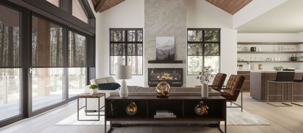 Motorized Shades