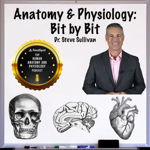 Go to Anatomy and Physiology podcast page
