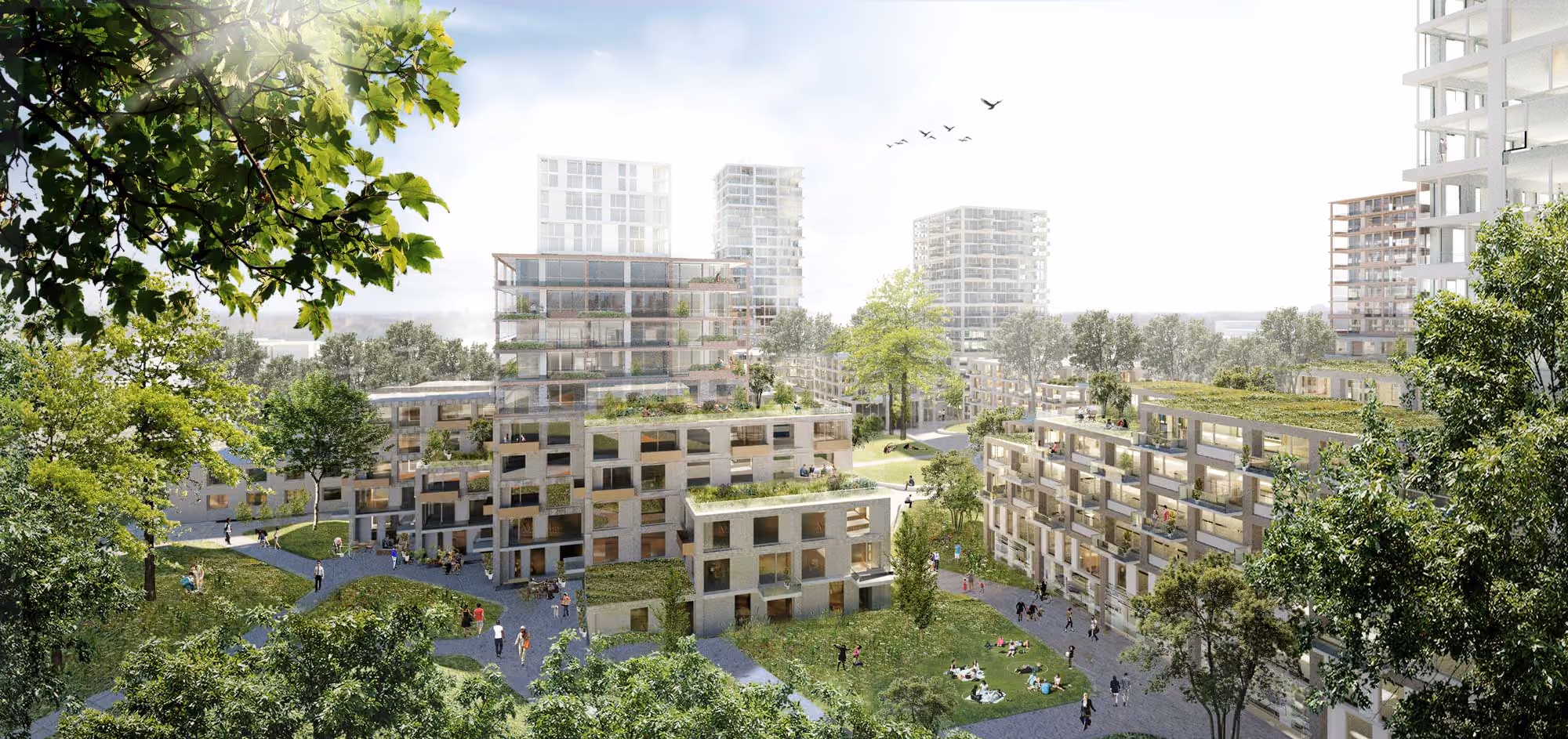 Groene stadswijk met moderne appartementen, grasvelden, paden en mensen buiten in Amsterdam.