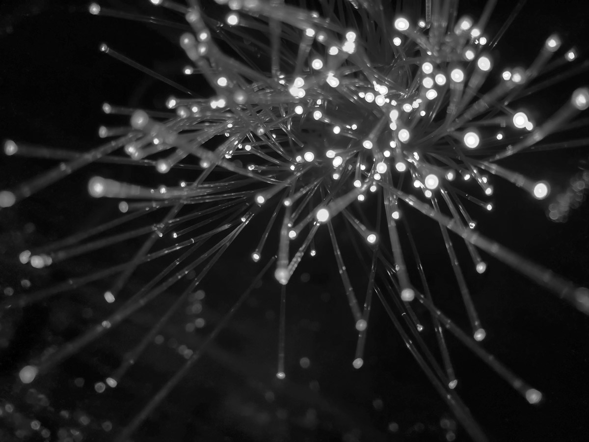 Blis Digital blog over strategische AI-inzet voor omzetgroei