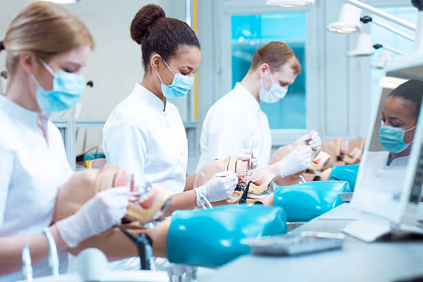 16,500+ Dental School Stock Photos, Pictures & Royalty-Free Images - iStock | Online dental school, Dental school with ppe, Dental school graduation