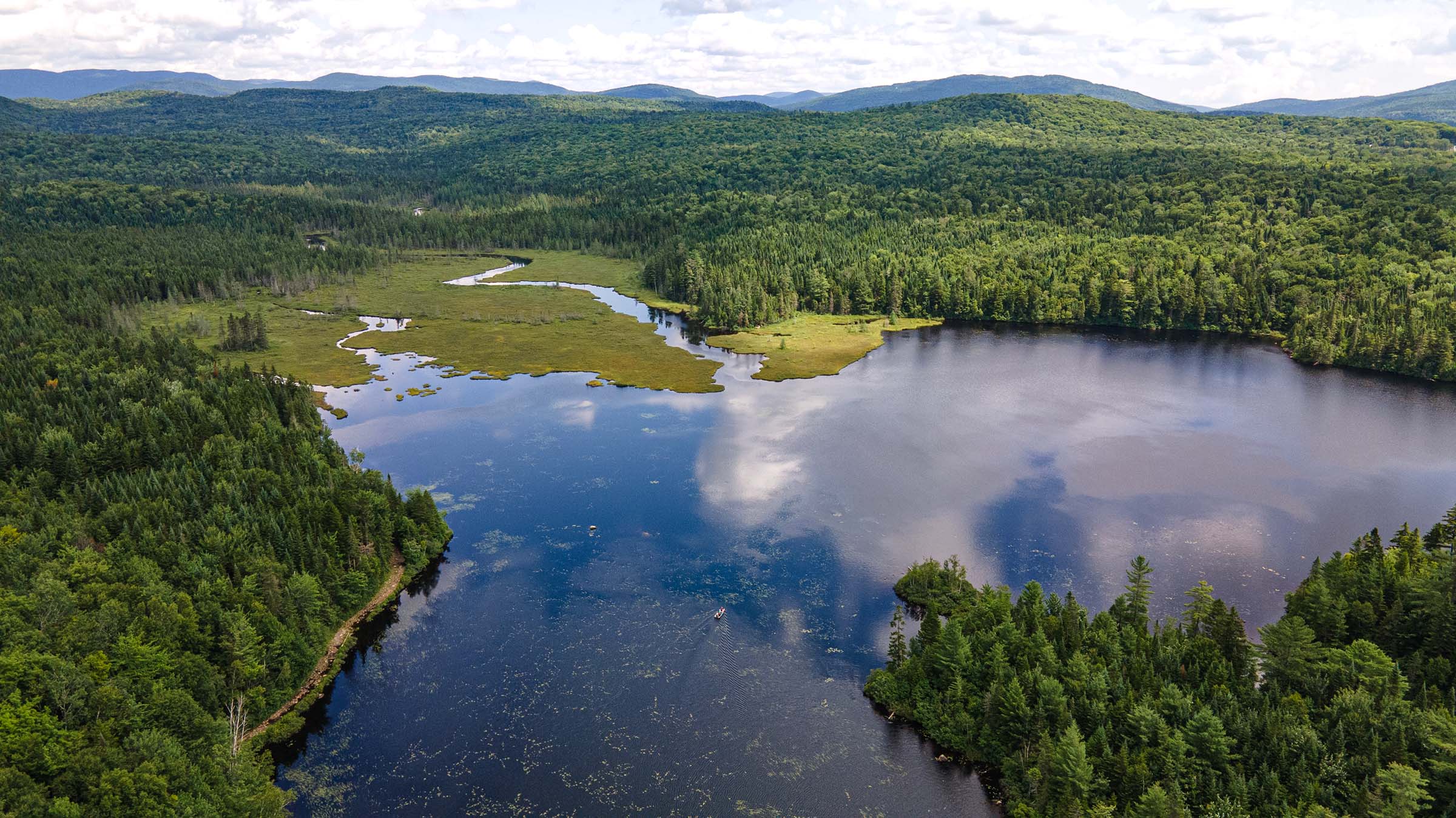 Vue aérienne d’un milieu humide au Québec en été, montrant des étendues d’eau entourées de végétation verdoyante, de forêts denses et de zones marécageuses.