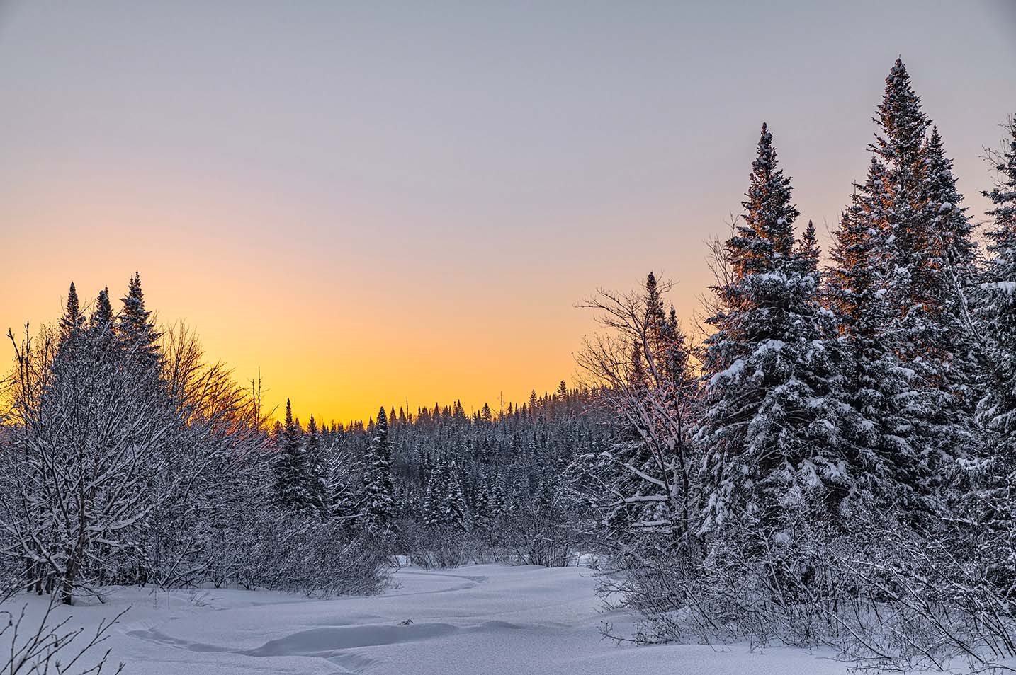 Paysage hivernal d’un milieu humide au Québec au coucher du soleil, avec des étendues d’eau partiellement gelées, des arbres dénudés et une lumière dorée réchauffant la scène enneigée.