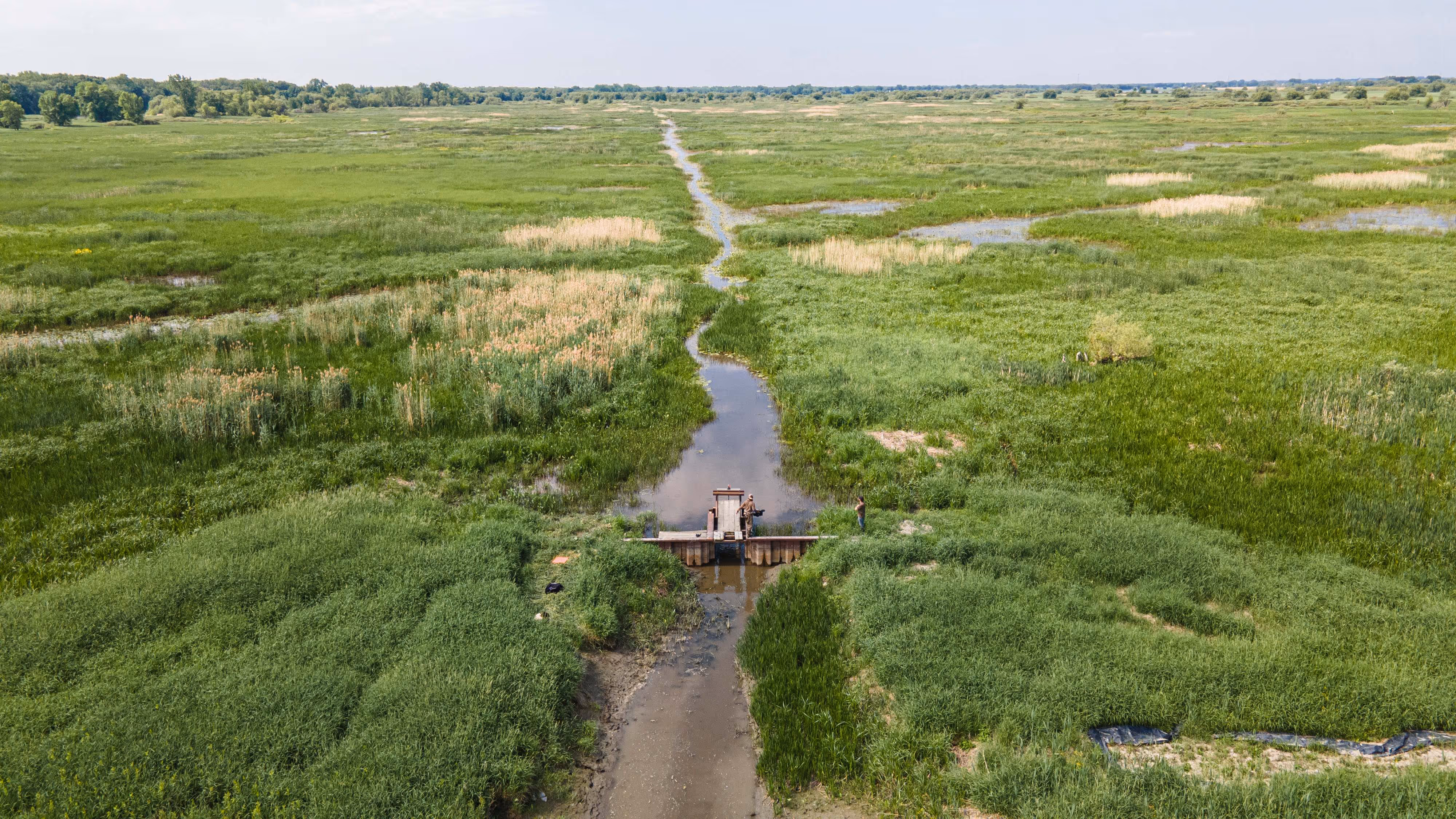 Structure de contrôle du niveau d'eau à l'ïle du Moine
