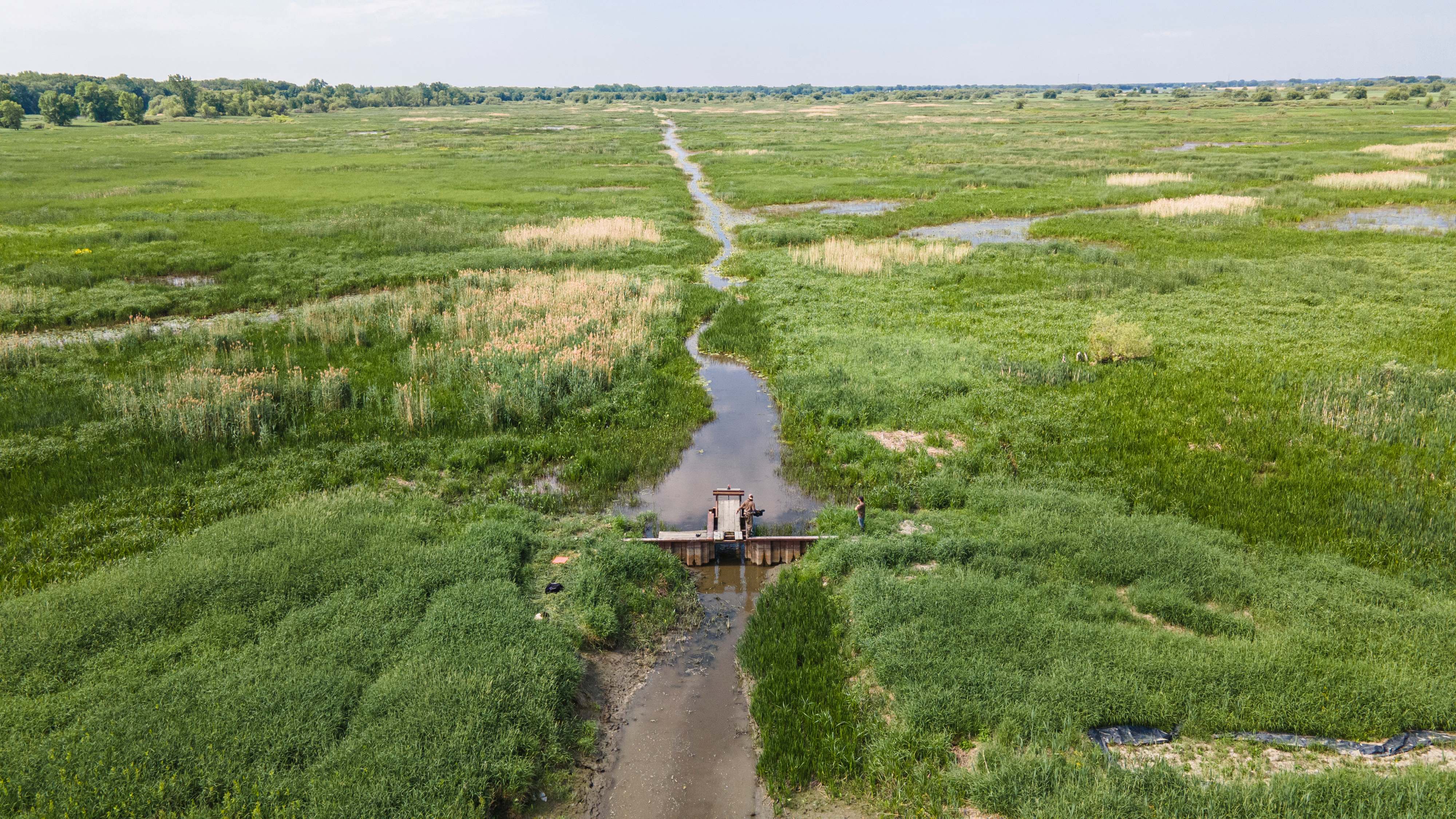 Structure de contrôle du niveau d'eau à l'ïle du Moine