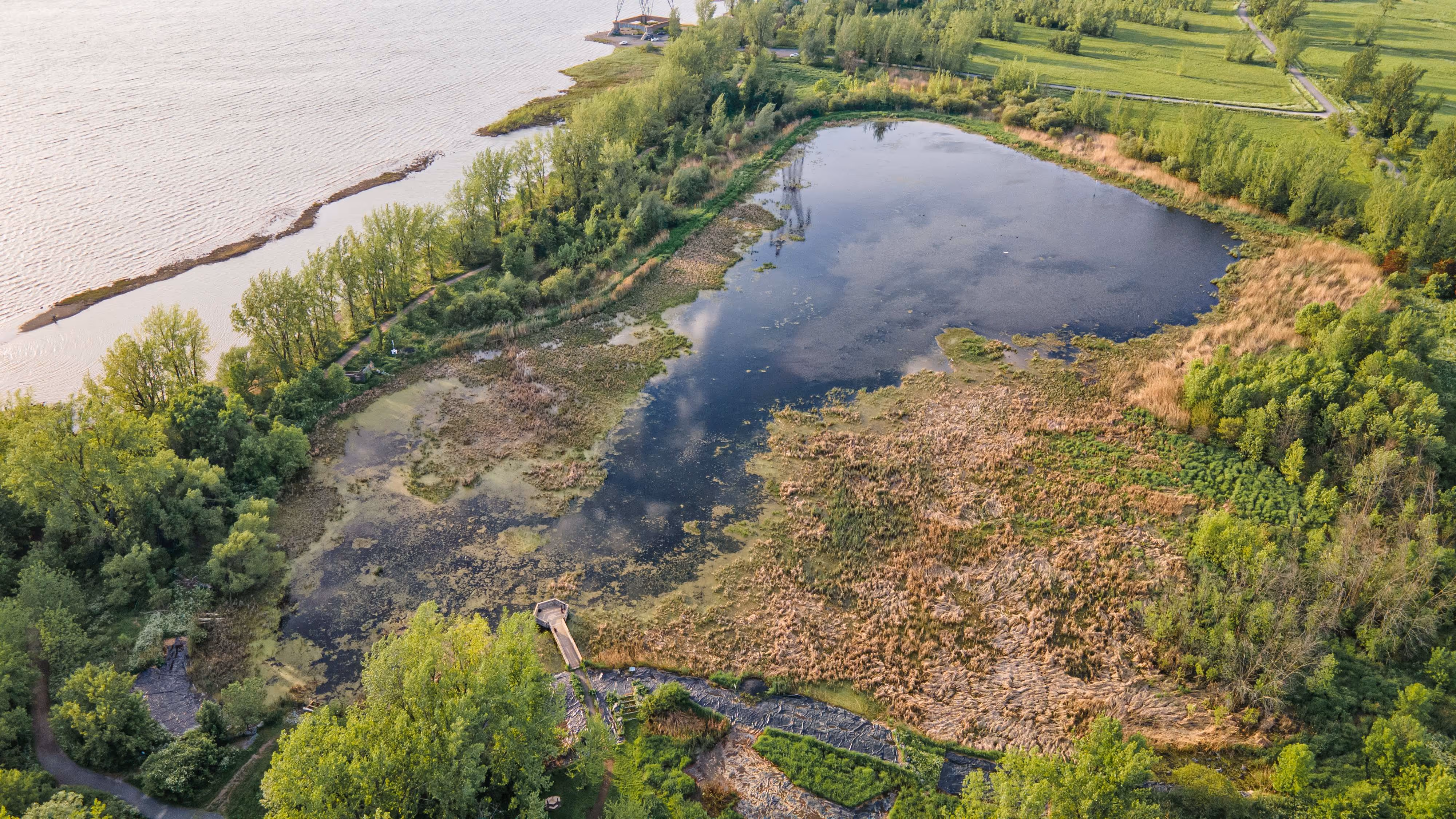 Vue aérienne du marais de la rivière aux Pins