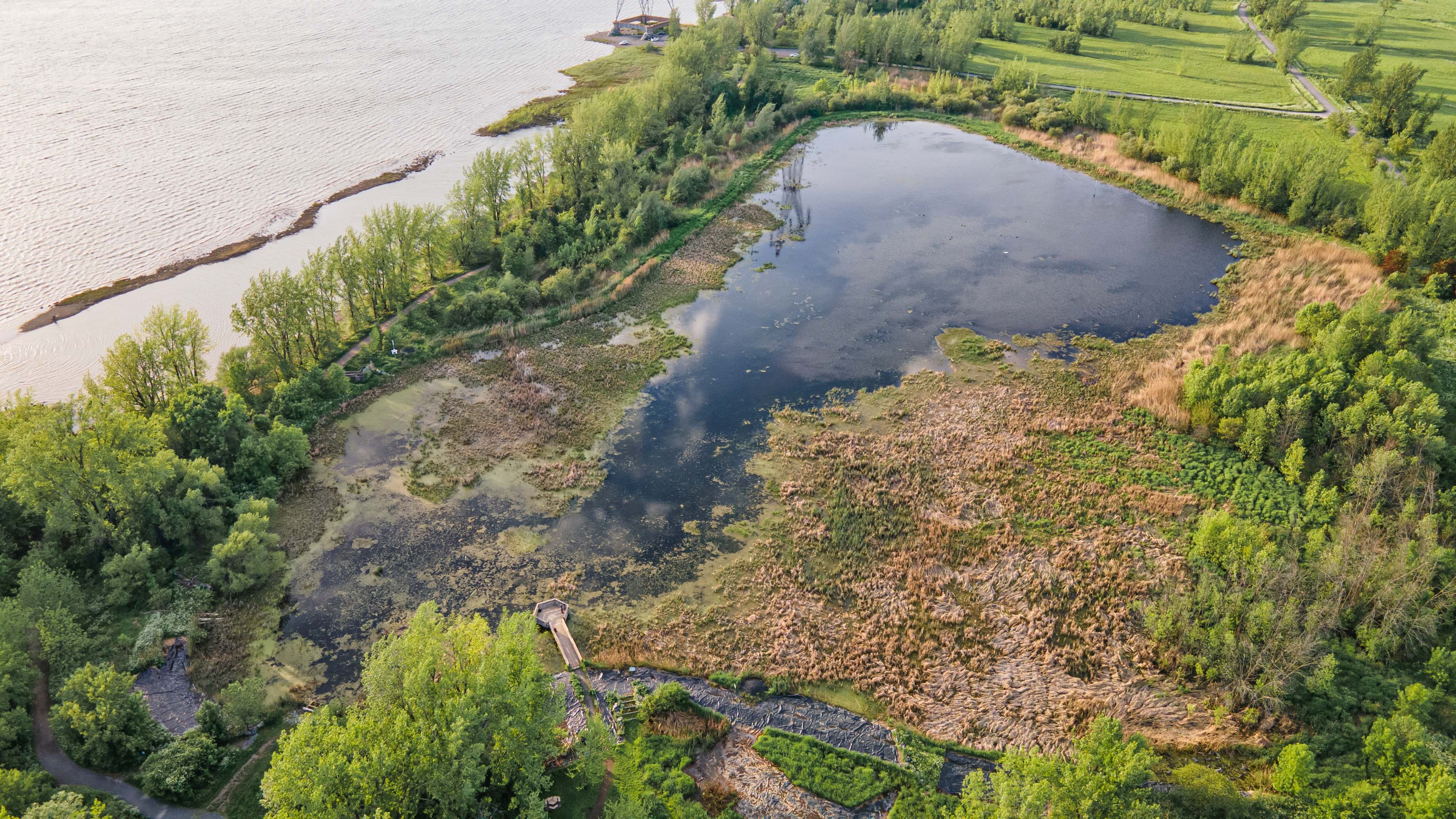 Vue aérienne du marais de la rivière aux Pins