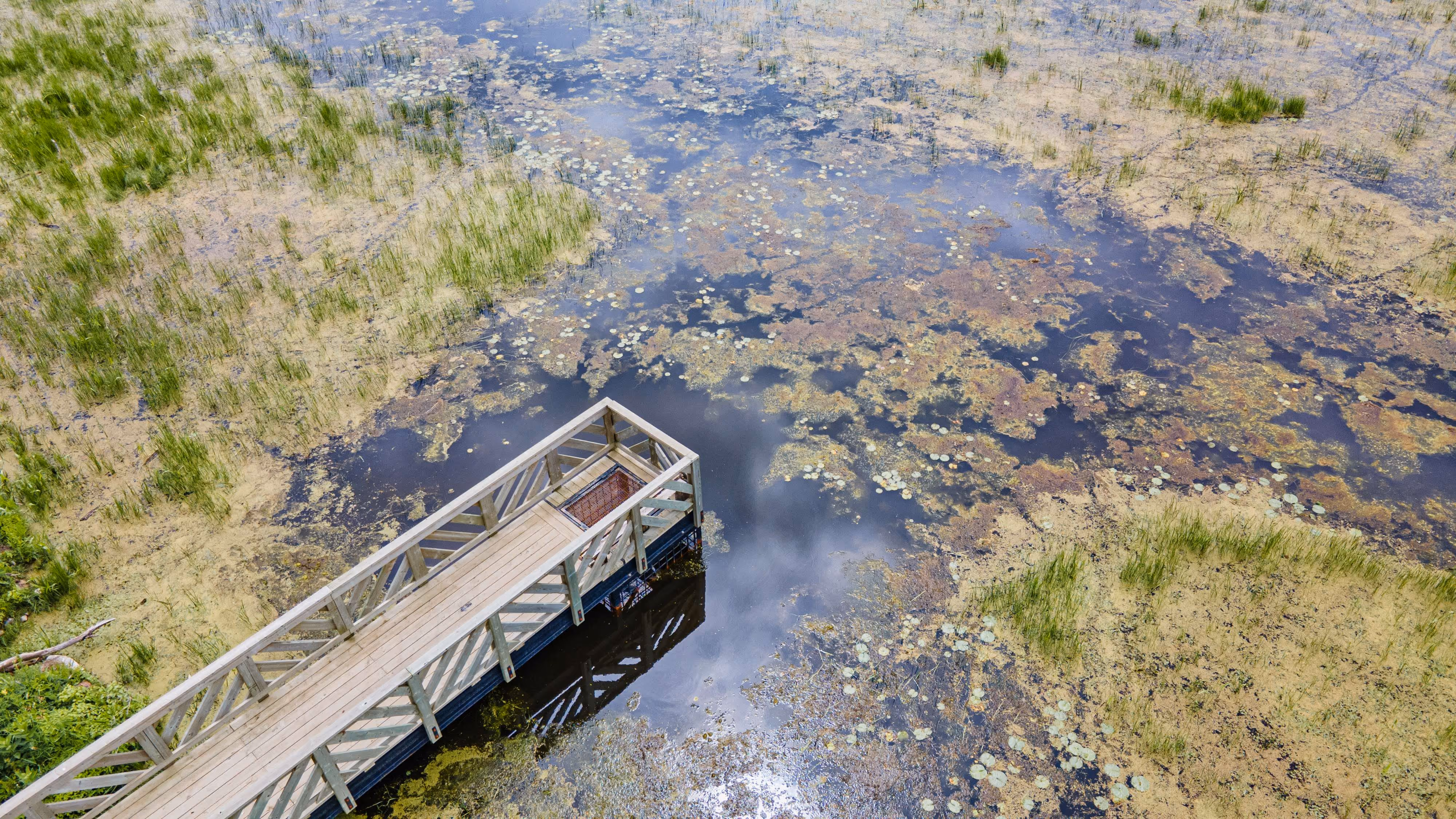Cube Morency avec passerelle au marais aux Grenouillettes