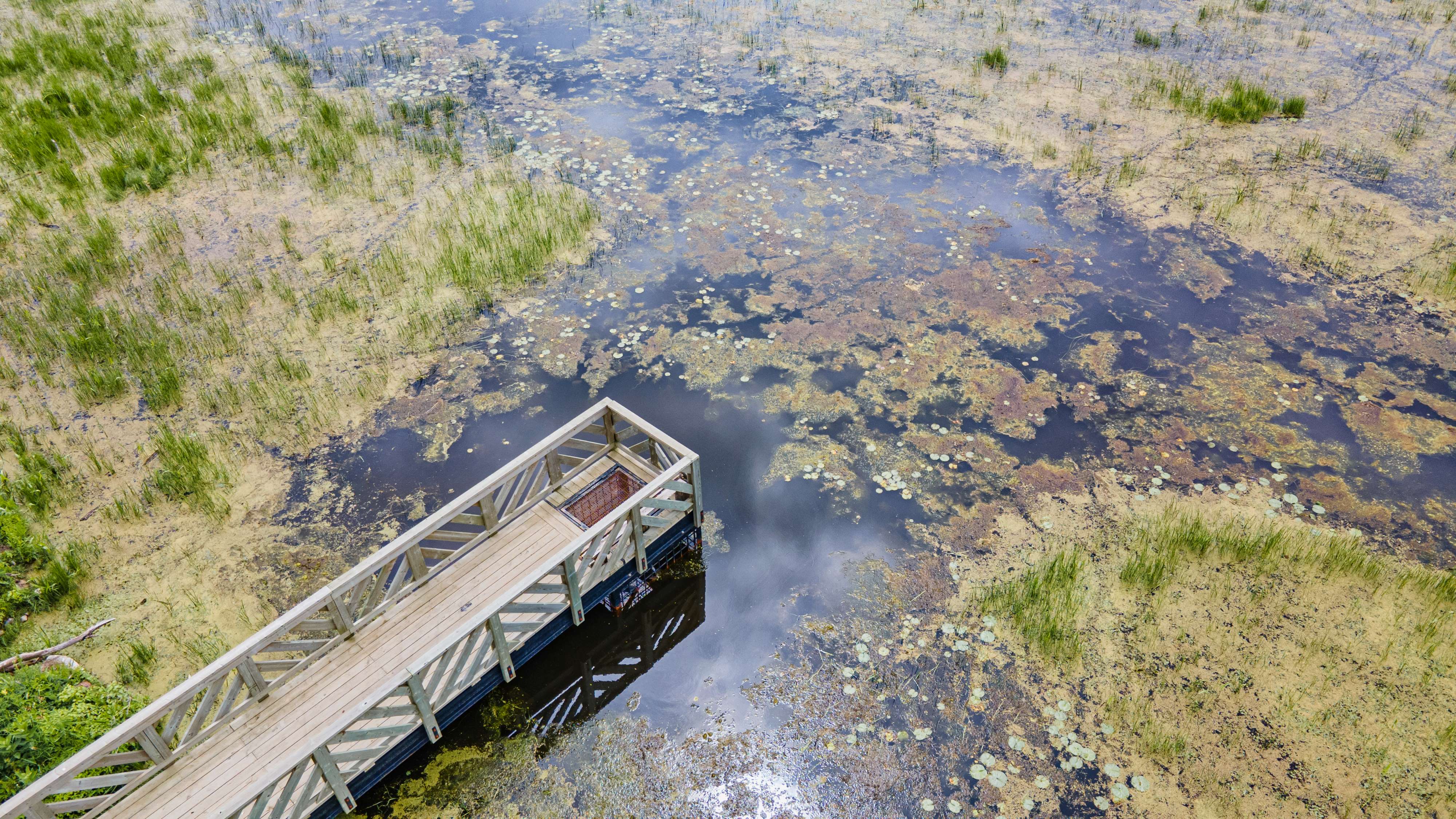 Cube Morency avec passerelle au marais aux Grenouillettes