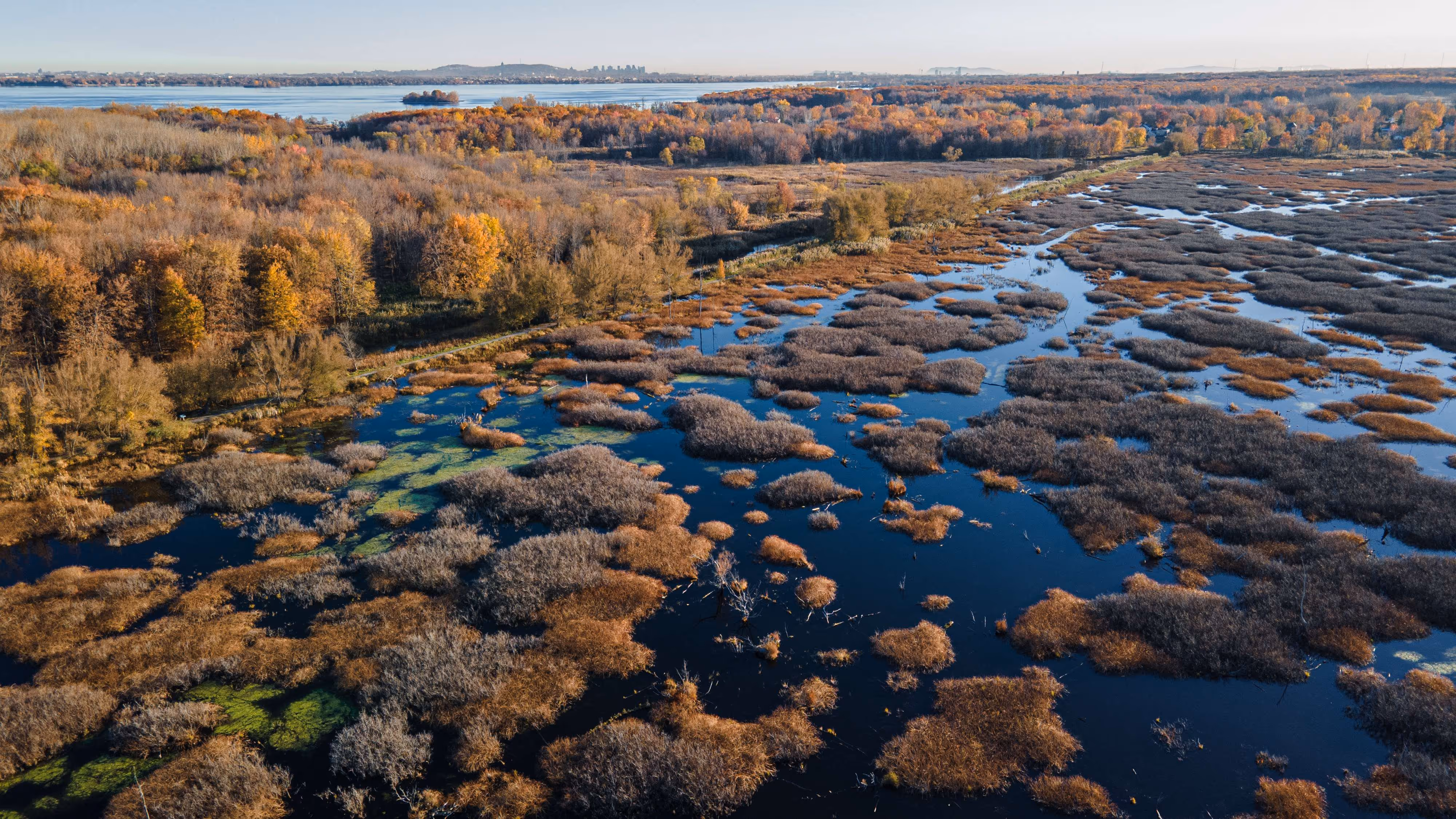 Vue aérienne de l'île Saint-Bernard