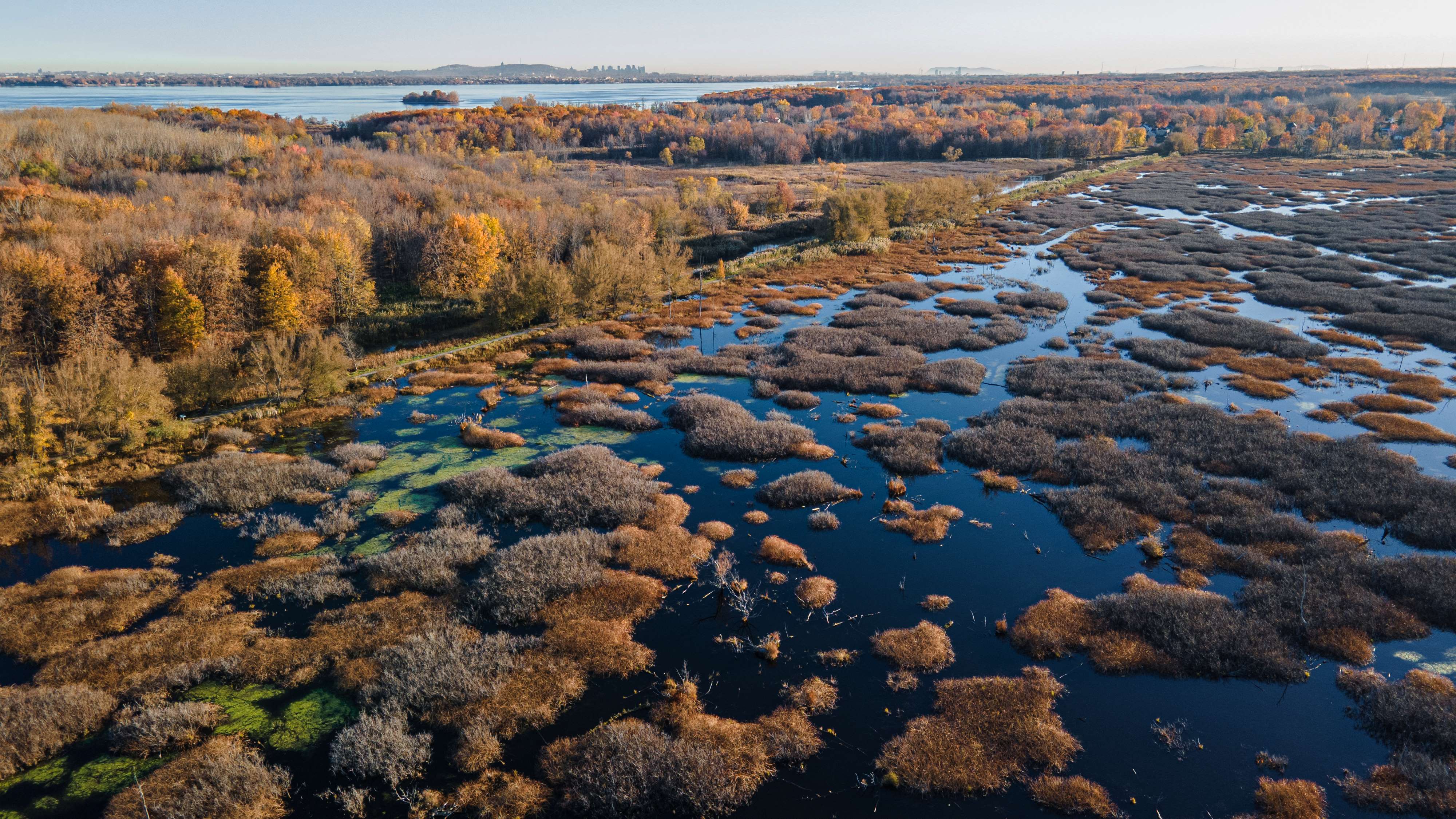 Vue aérienne de l'île Saint-Bernard