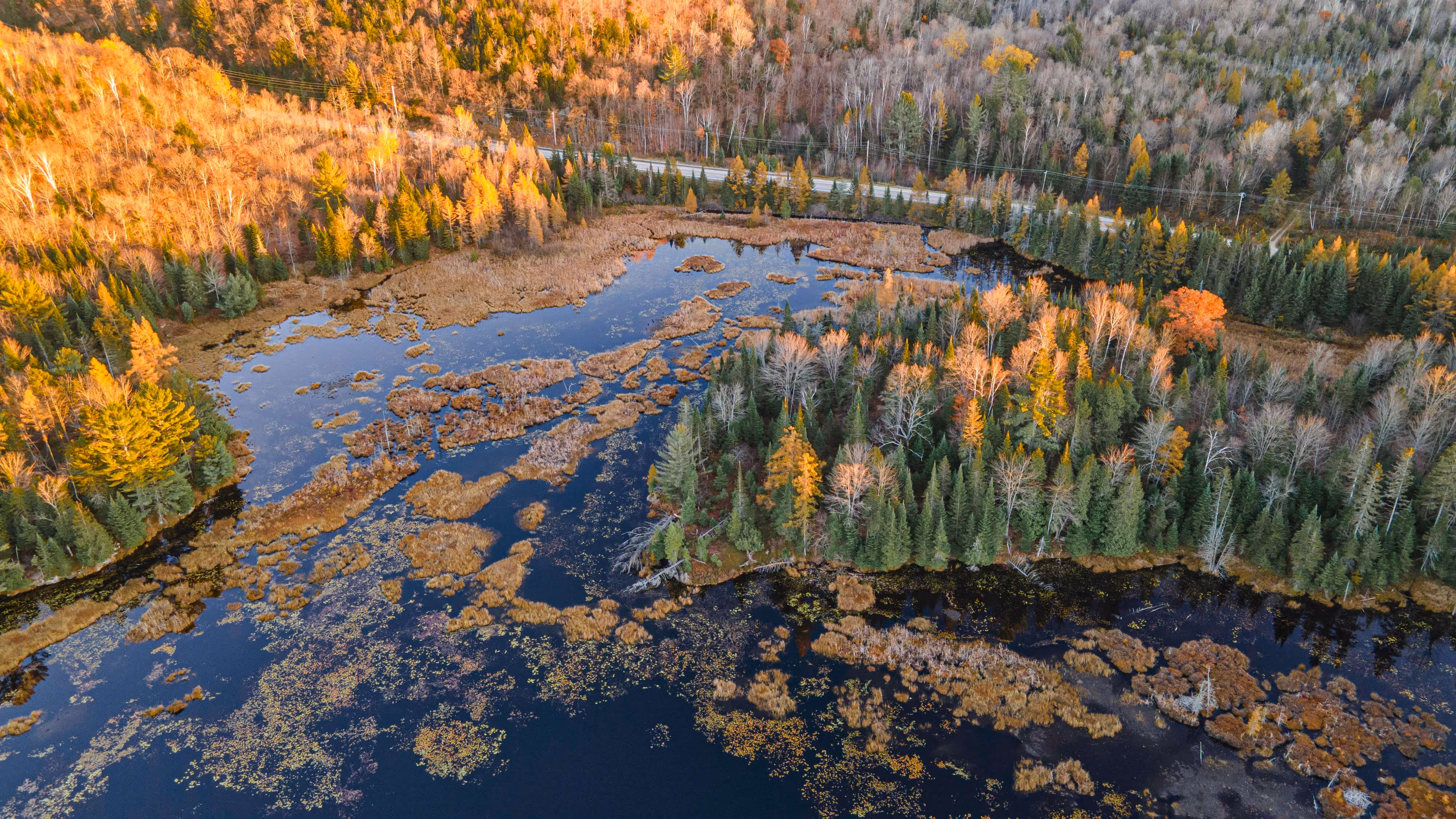 Vue aérienne d'un milieu humide